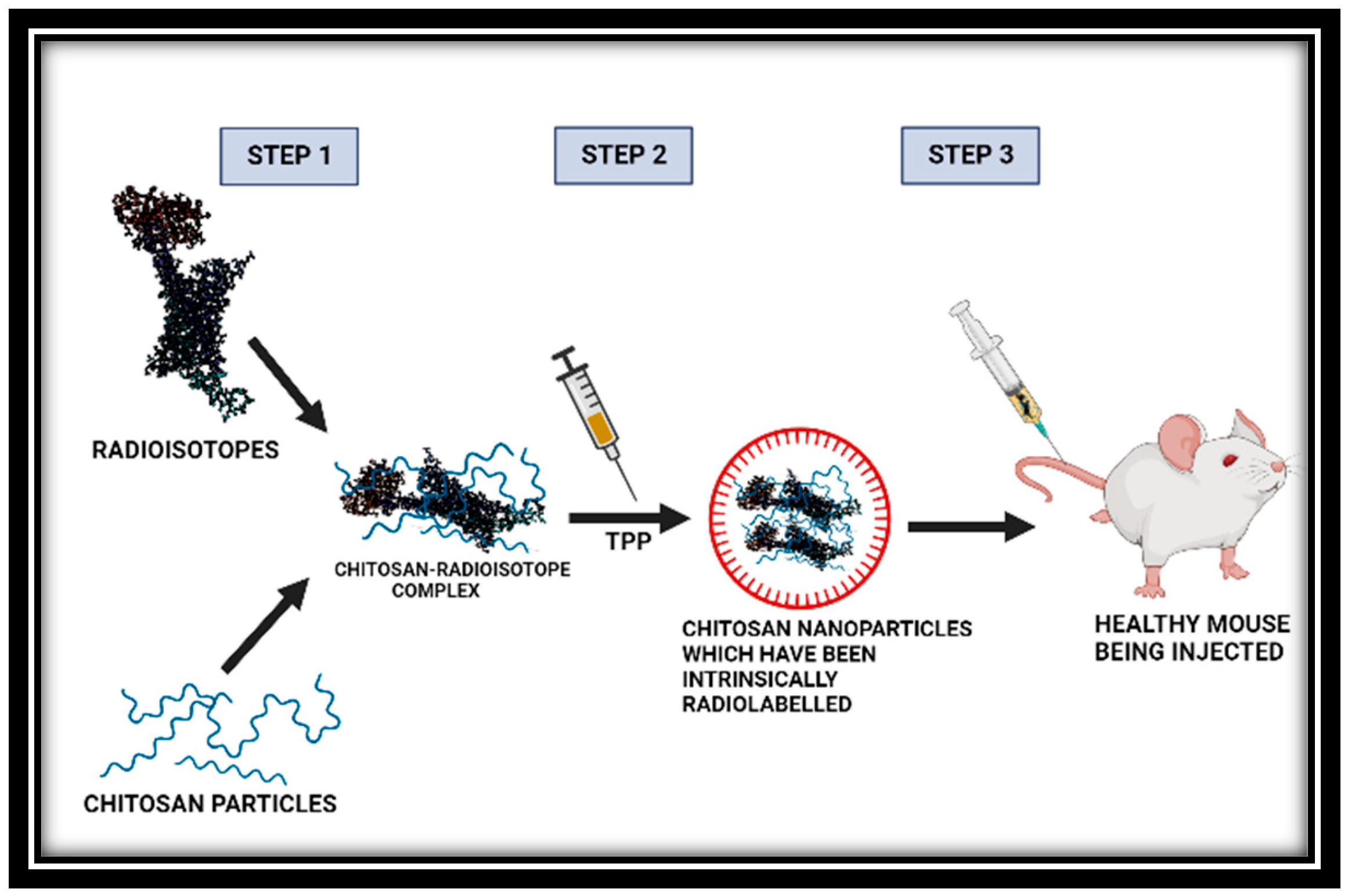 Jnt 04 00014 g003 Jnt 04 00014 g003
