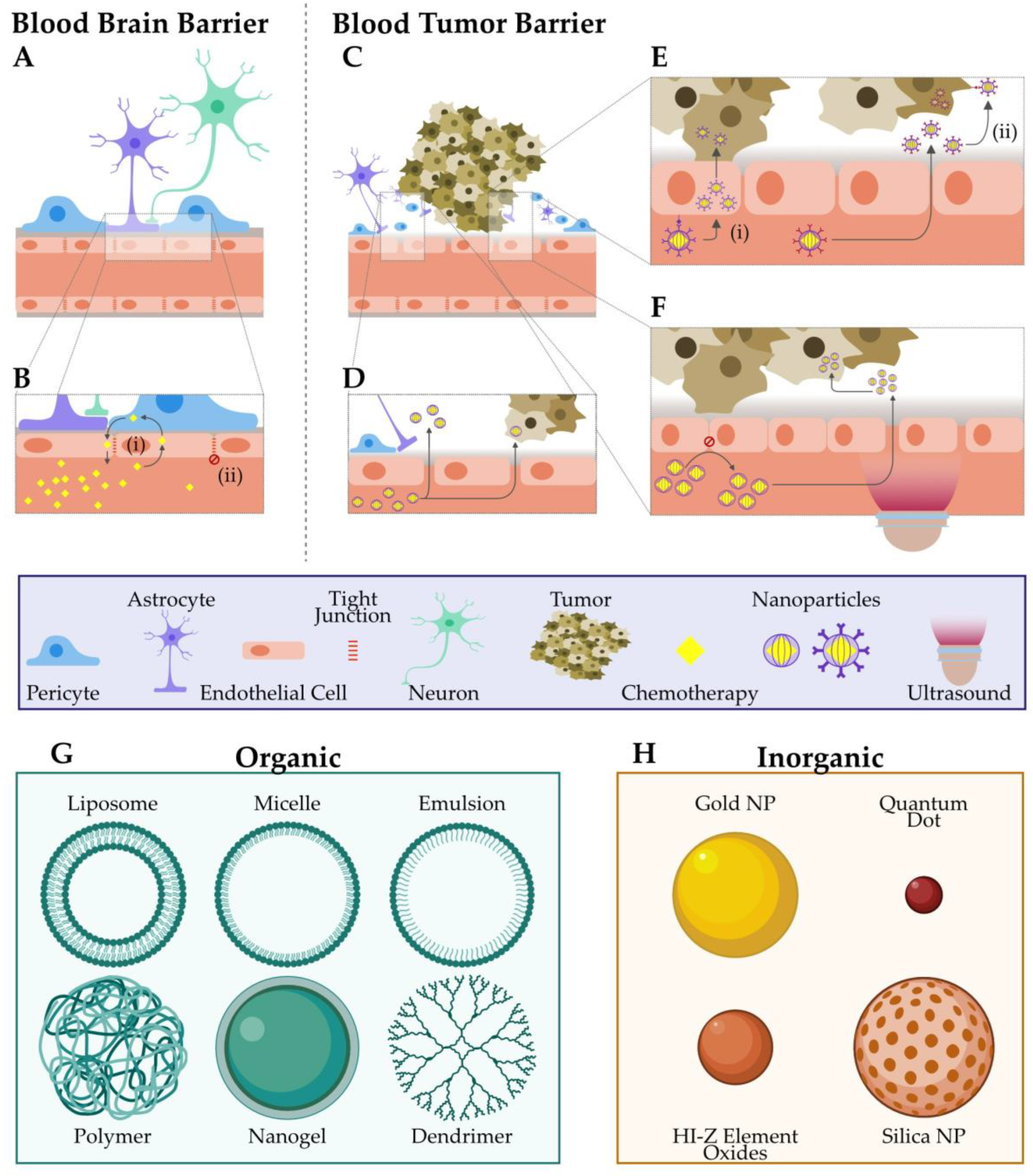 Jnt 04 00015 g001 Jnt 04 00015 g001