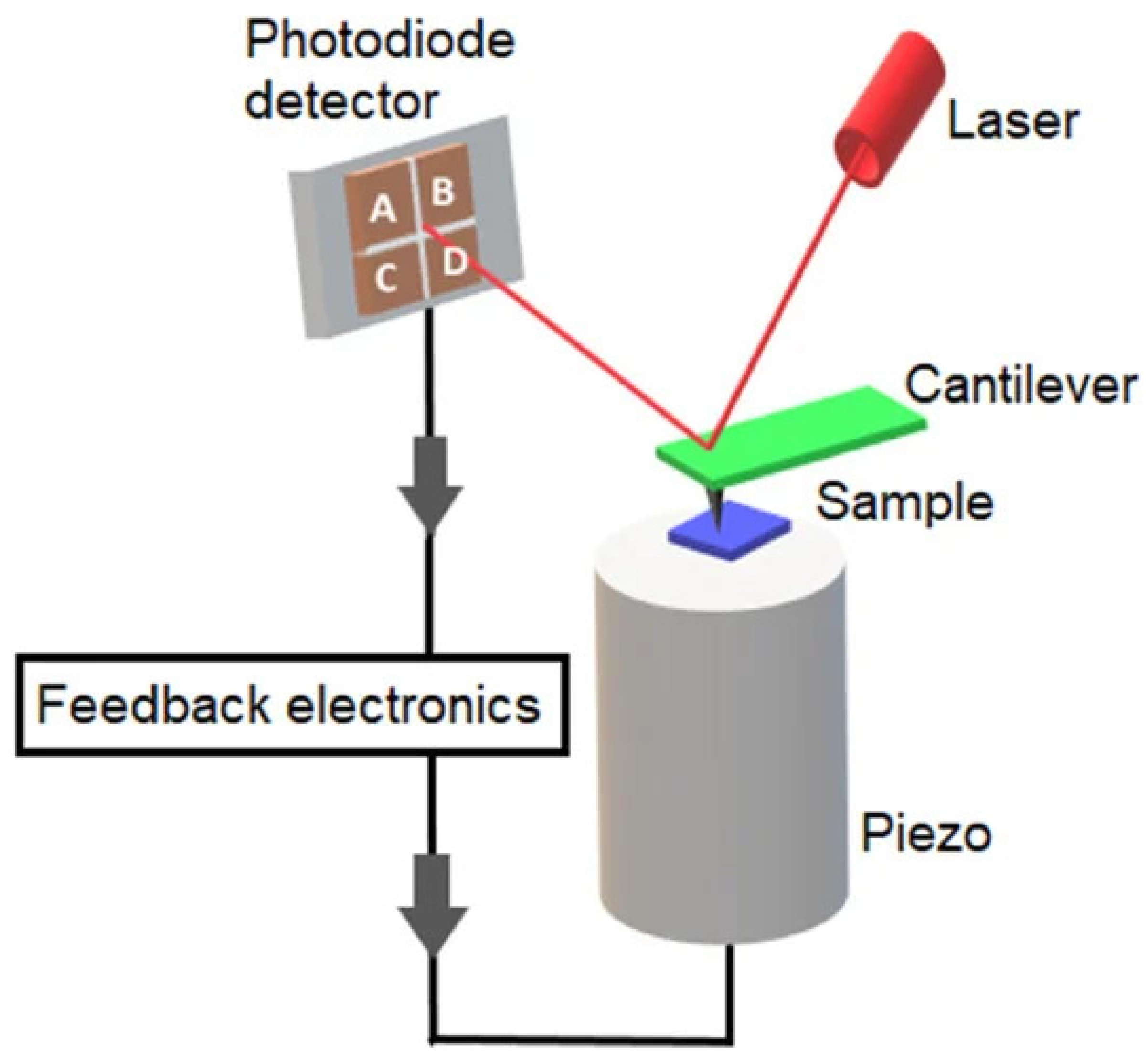 Jnt 05 00008 g005 Jnt 05 00008 g005