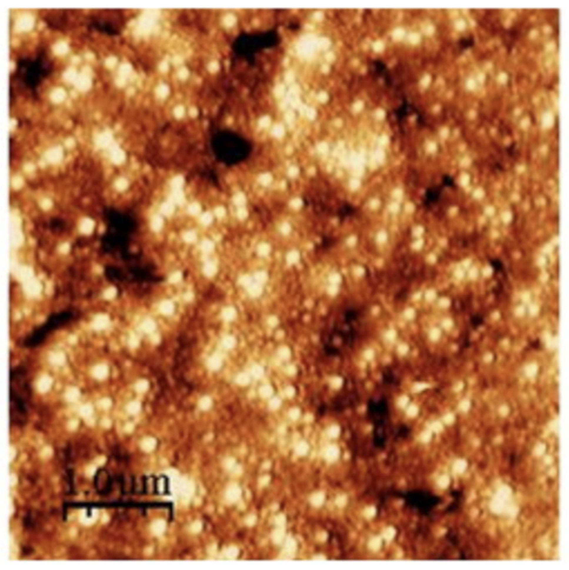 Jnt 05 00008 g006 Jnt 05 00008 g006