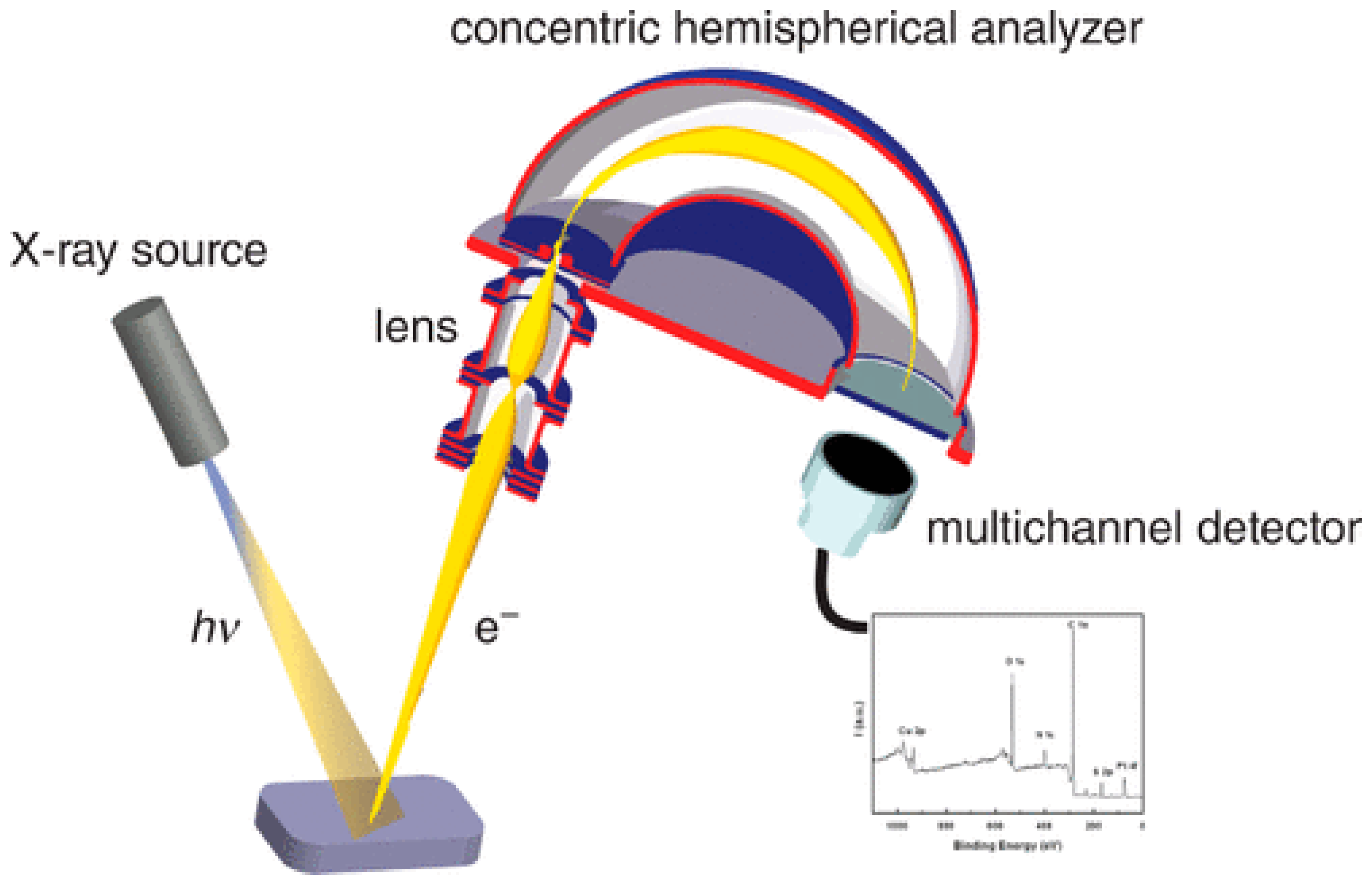 Jnt 05 00008 g008 Jnt 05 00008 g008