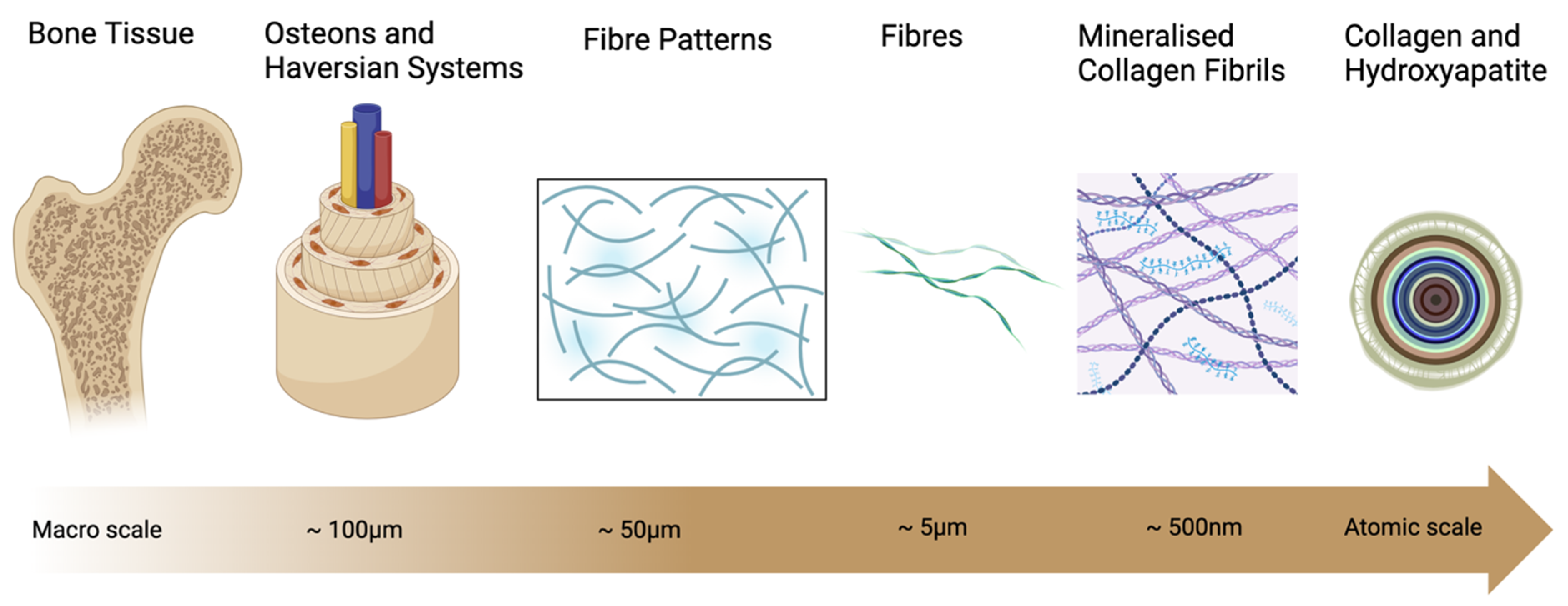Jnt 05 00011 g001 Jnt 05 00011 g001