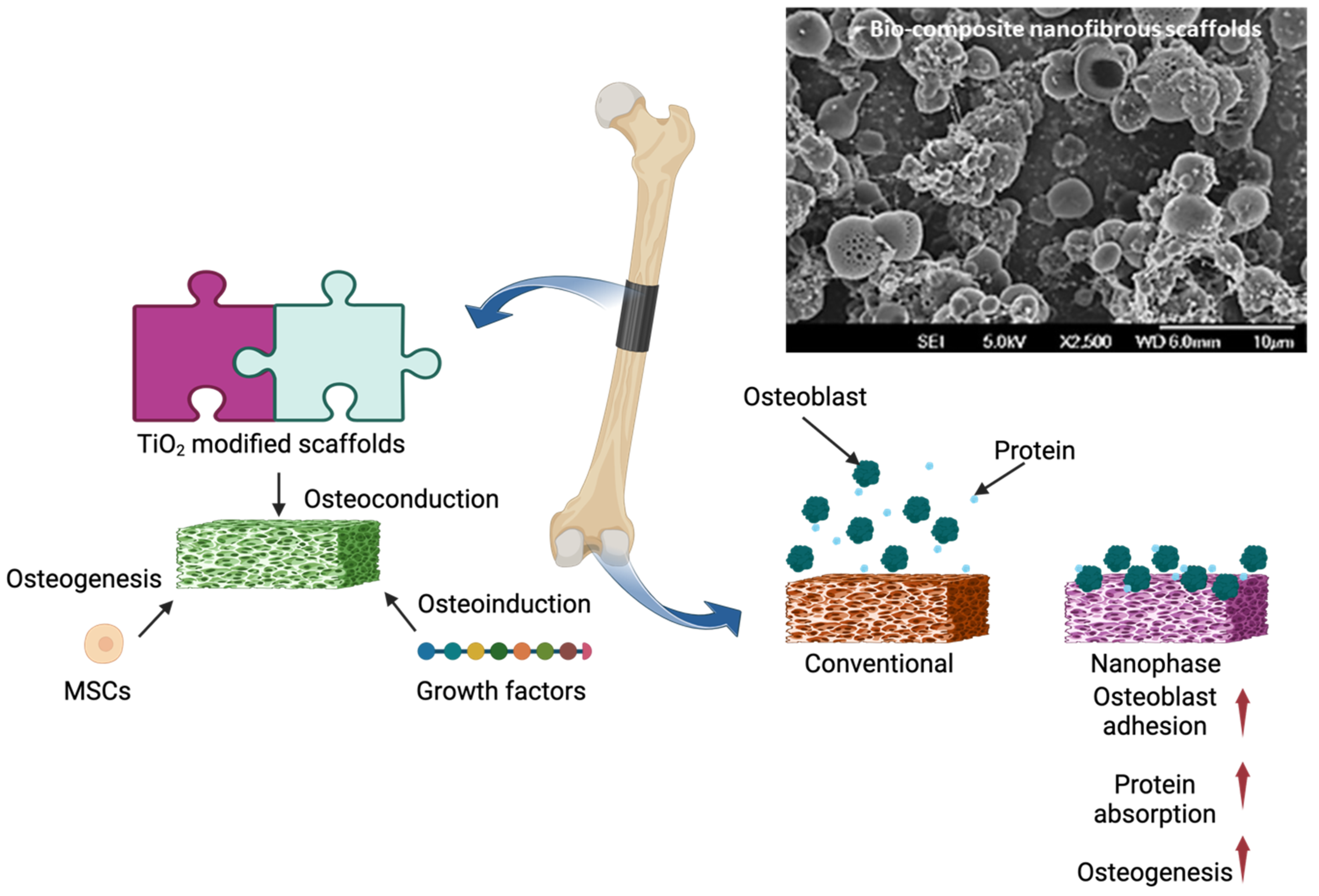 Jnt 05 00011 g003 Jnt 05 00011 g003