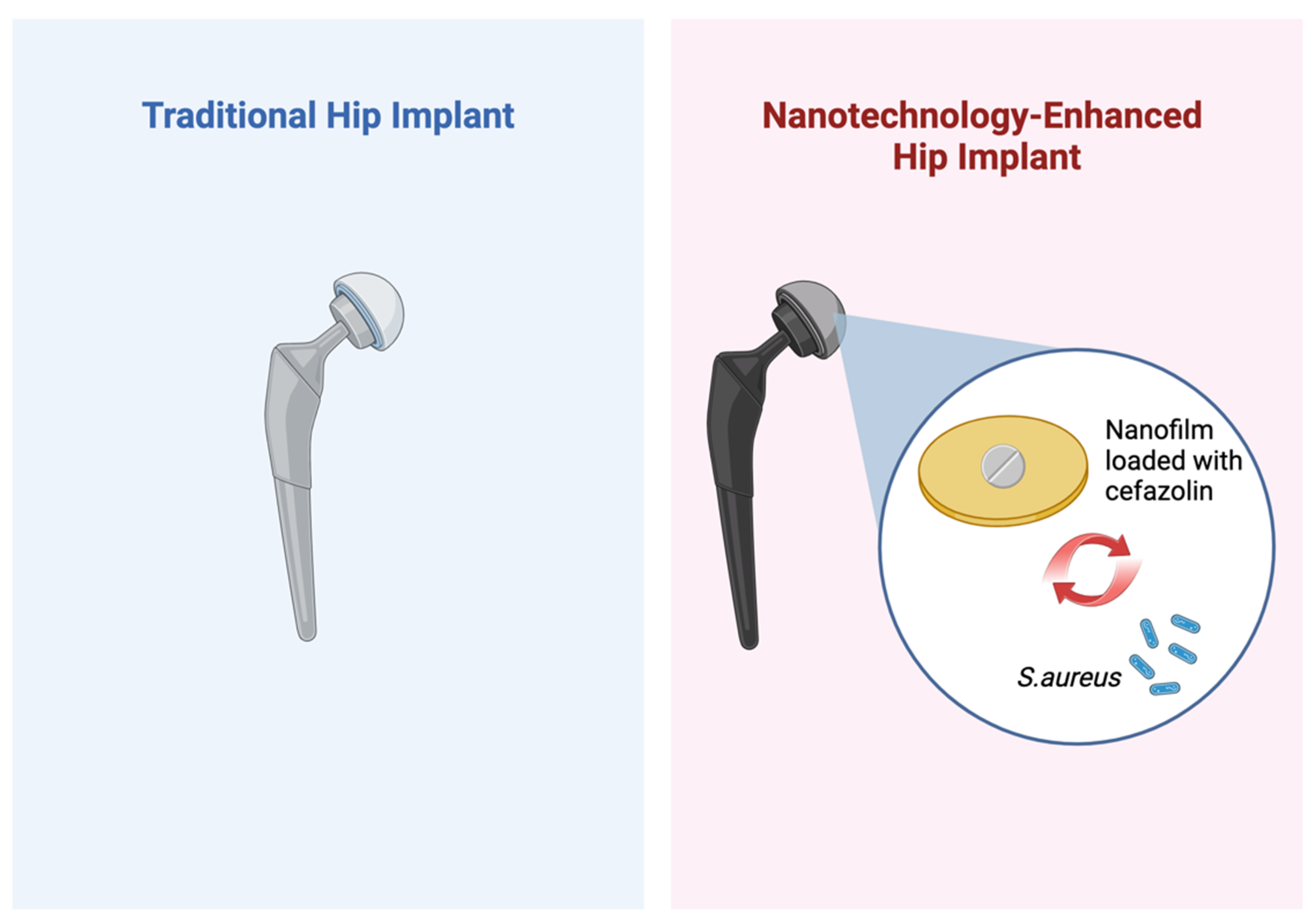 Jnt 05 00011 g004 Jnt 05 00011 g004