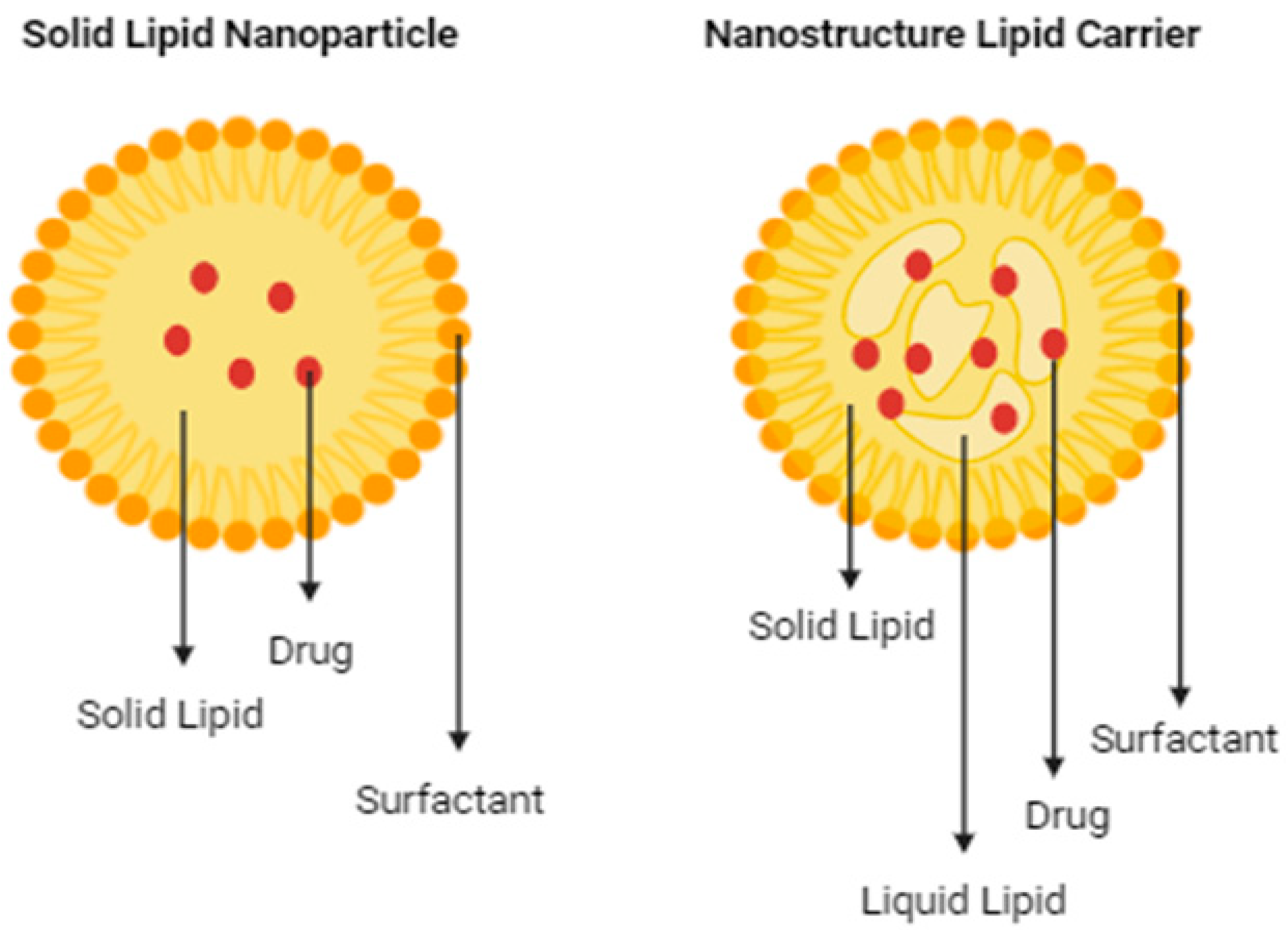 Jnt 05 00012 g001 Jnt 05 00012 g001