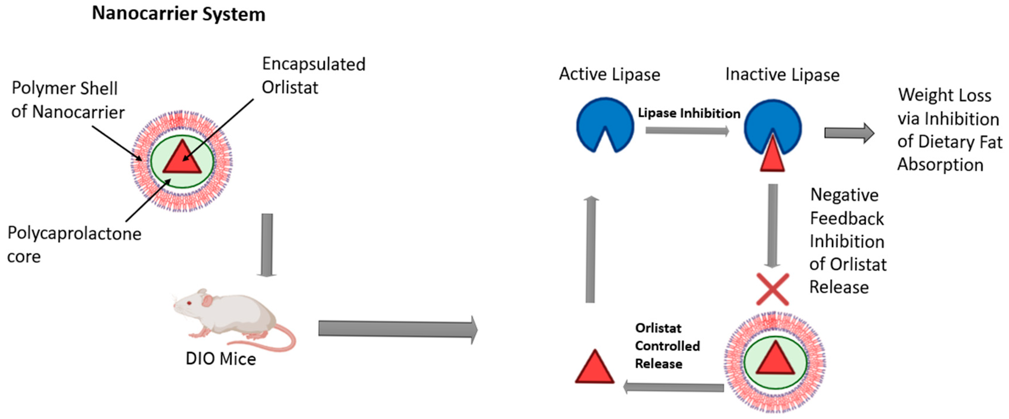 Jnt 06 00021 g002 Jnt 06 00021 g002