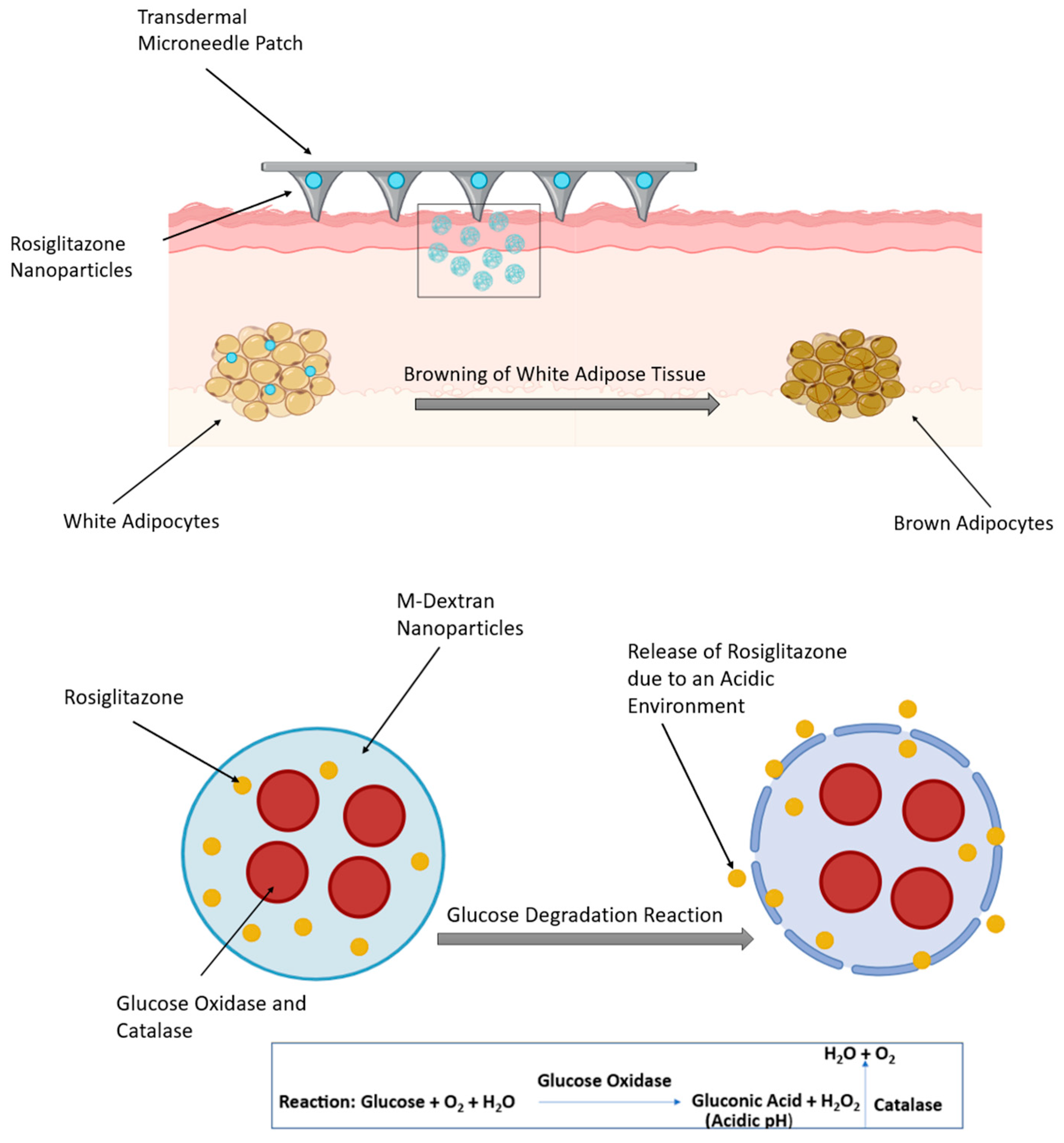 sss Kohler 6368-0 Sunstruck 66-Inch X 36-Inch Oval Freestanding