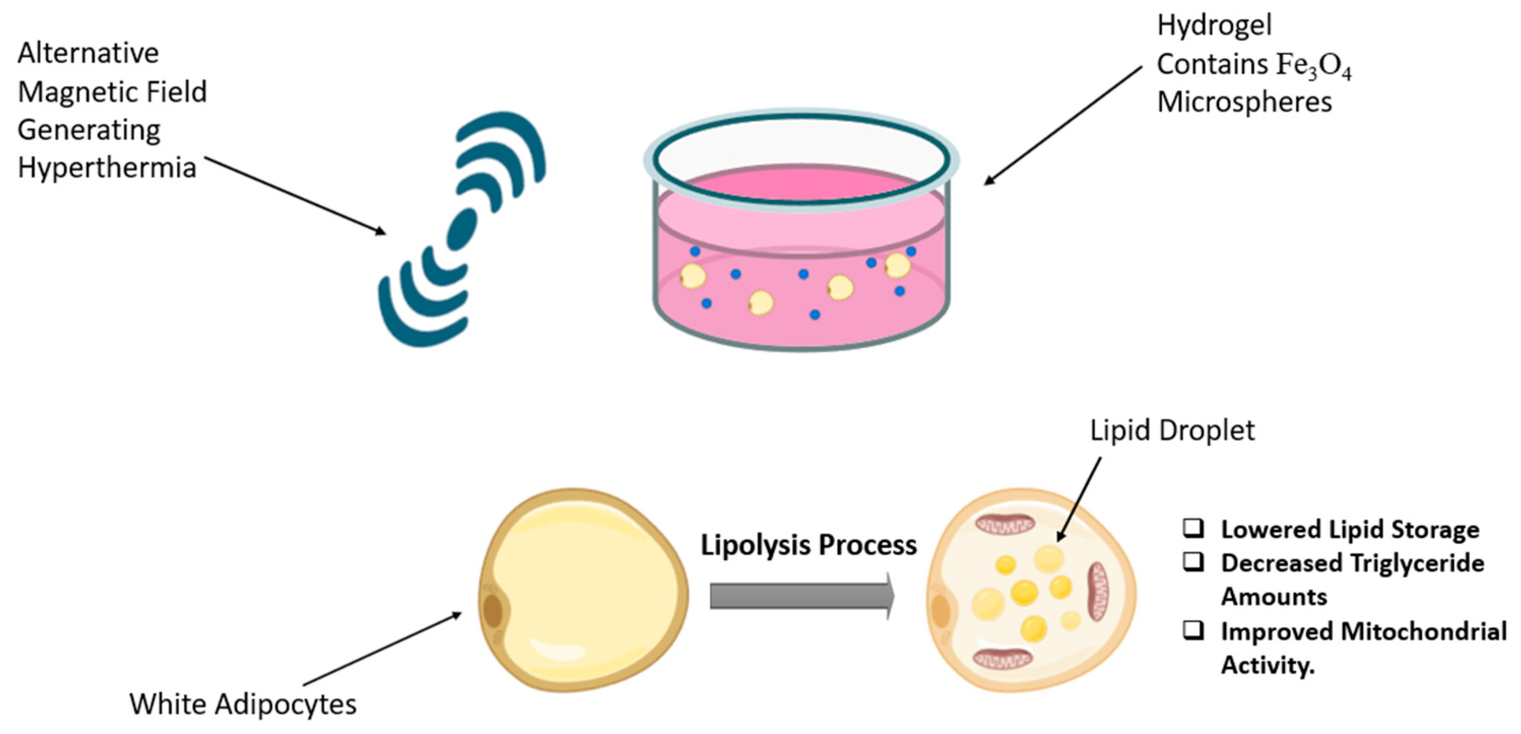 sss Kohler 6368-0 Sunstruck 66-Inch X 36-Inch Oval Freestanding