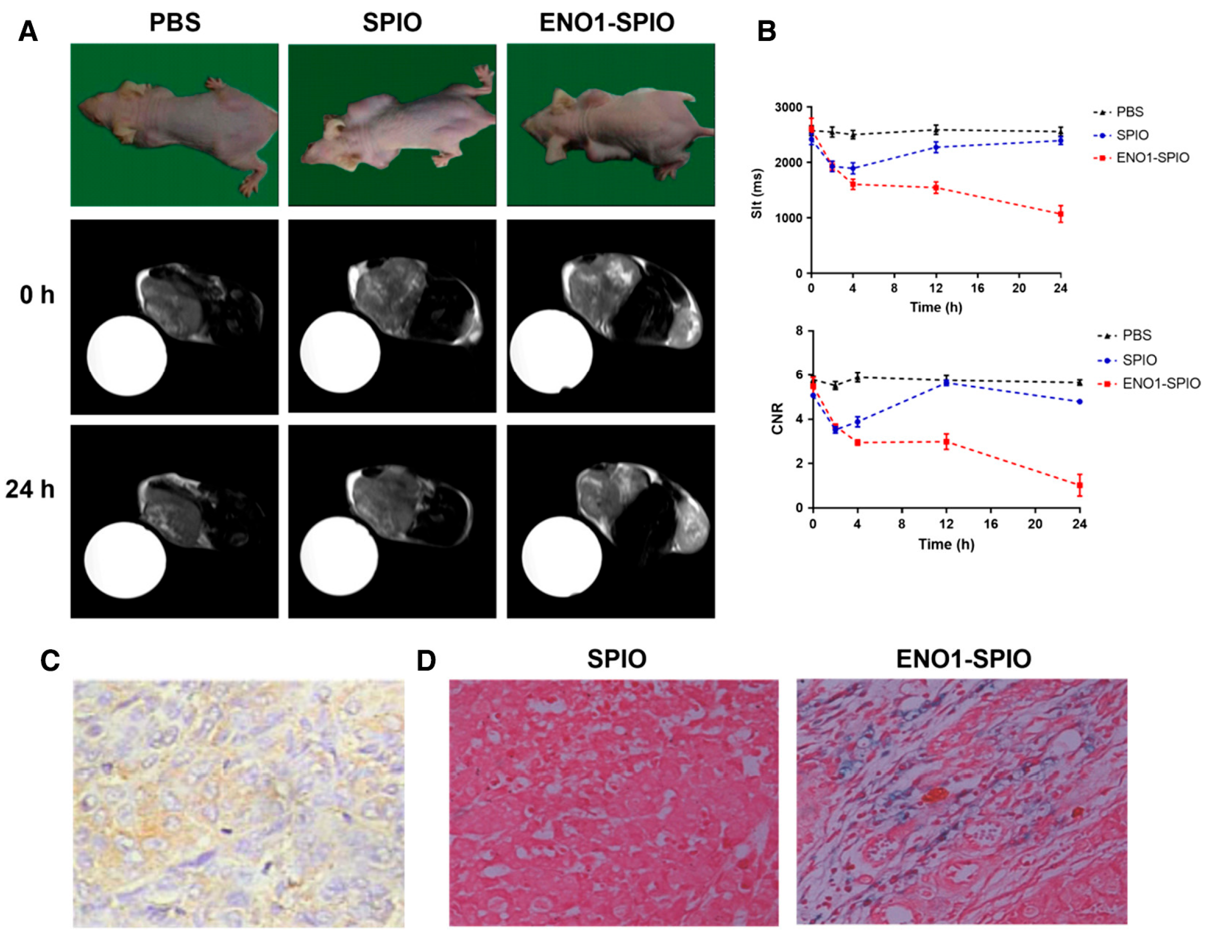Jnt 06 00022 g001 Jnt 06 00022 g001