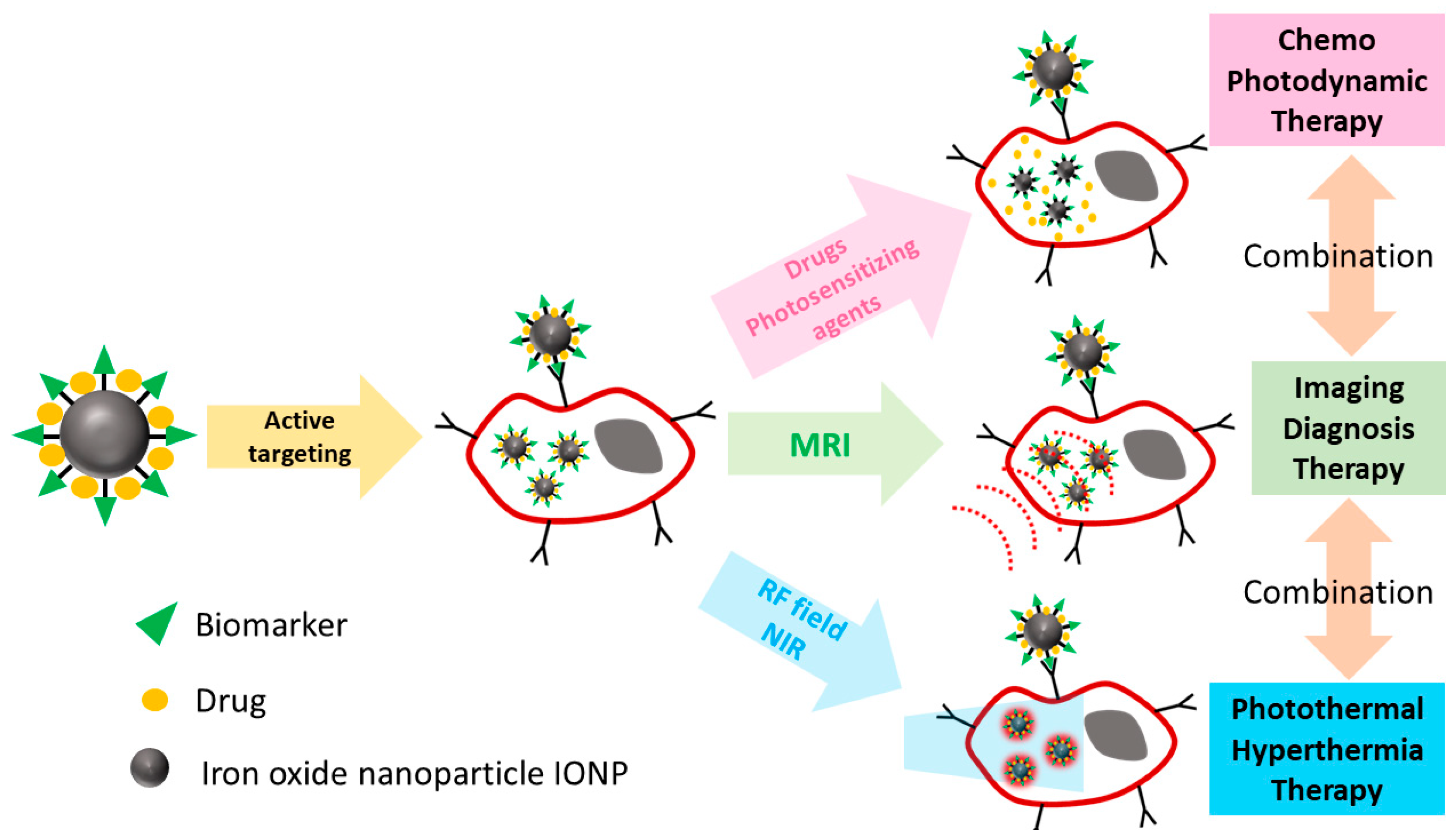 Jnt 06 00022 g002 Jnt 06 00022 g002