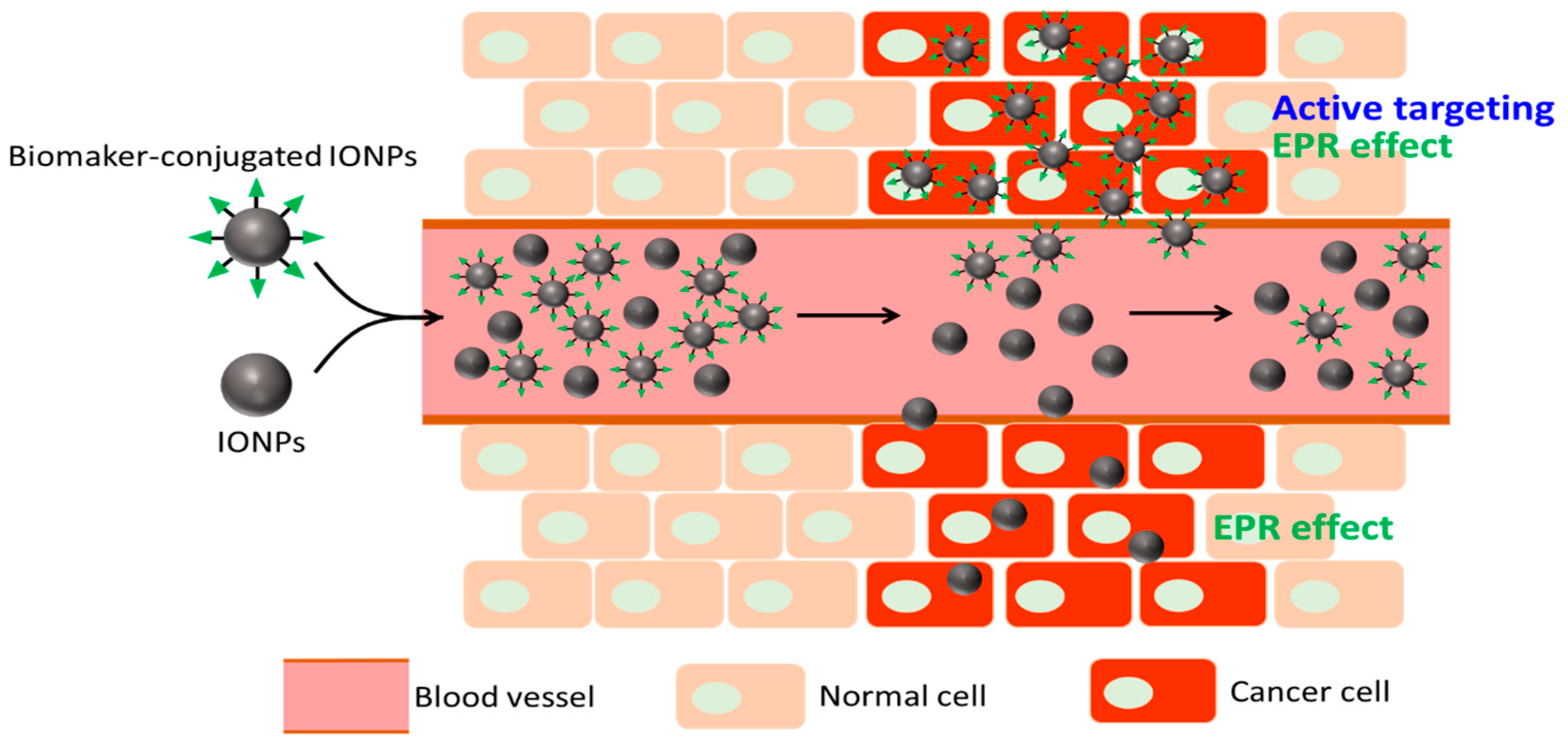 Jnt 06 00022 g003 Jnt 06 00022 g003