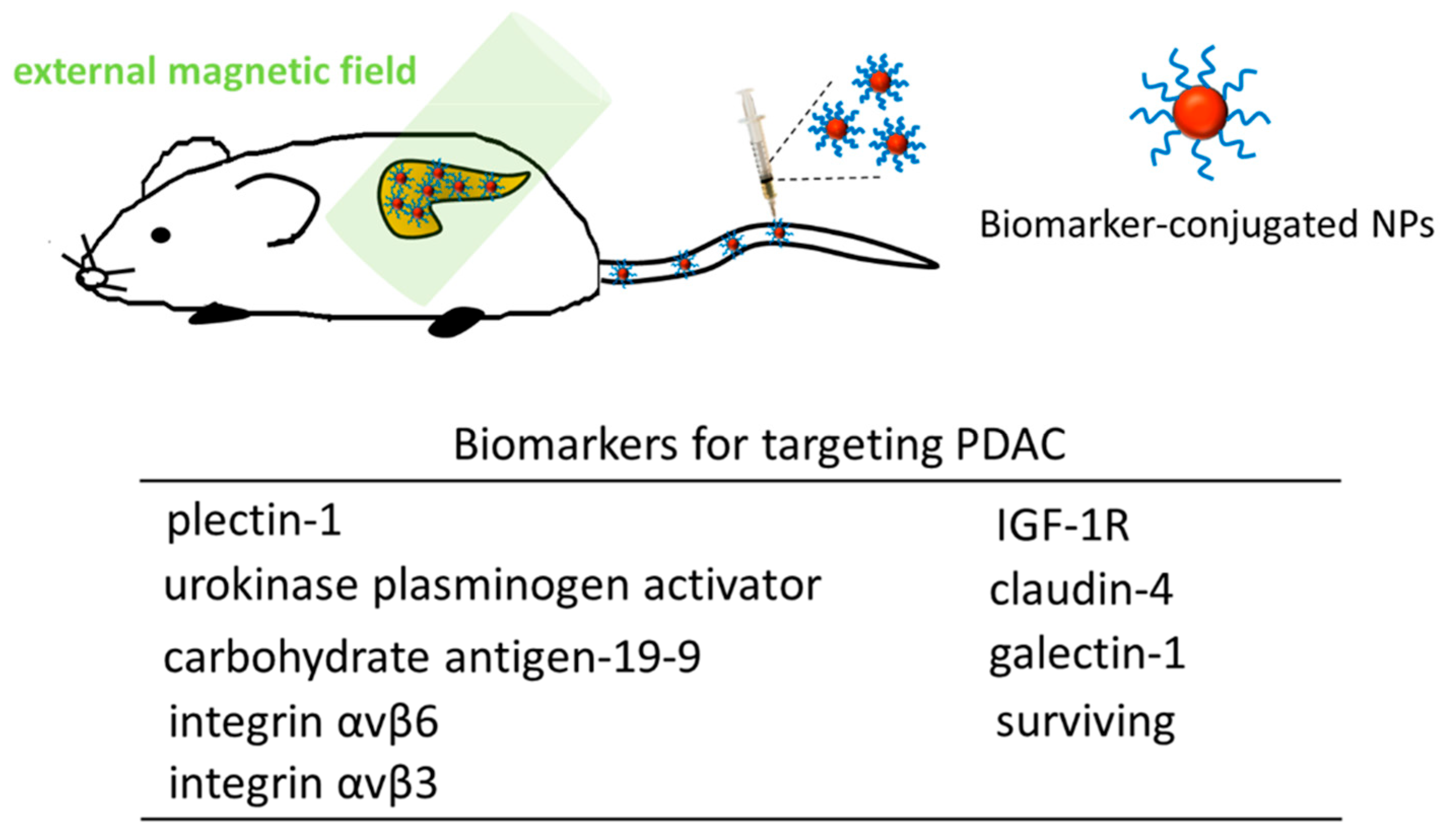Jnt 06 00022 g004 Jnt 06 00022 g004