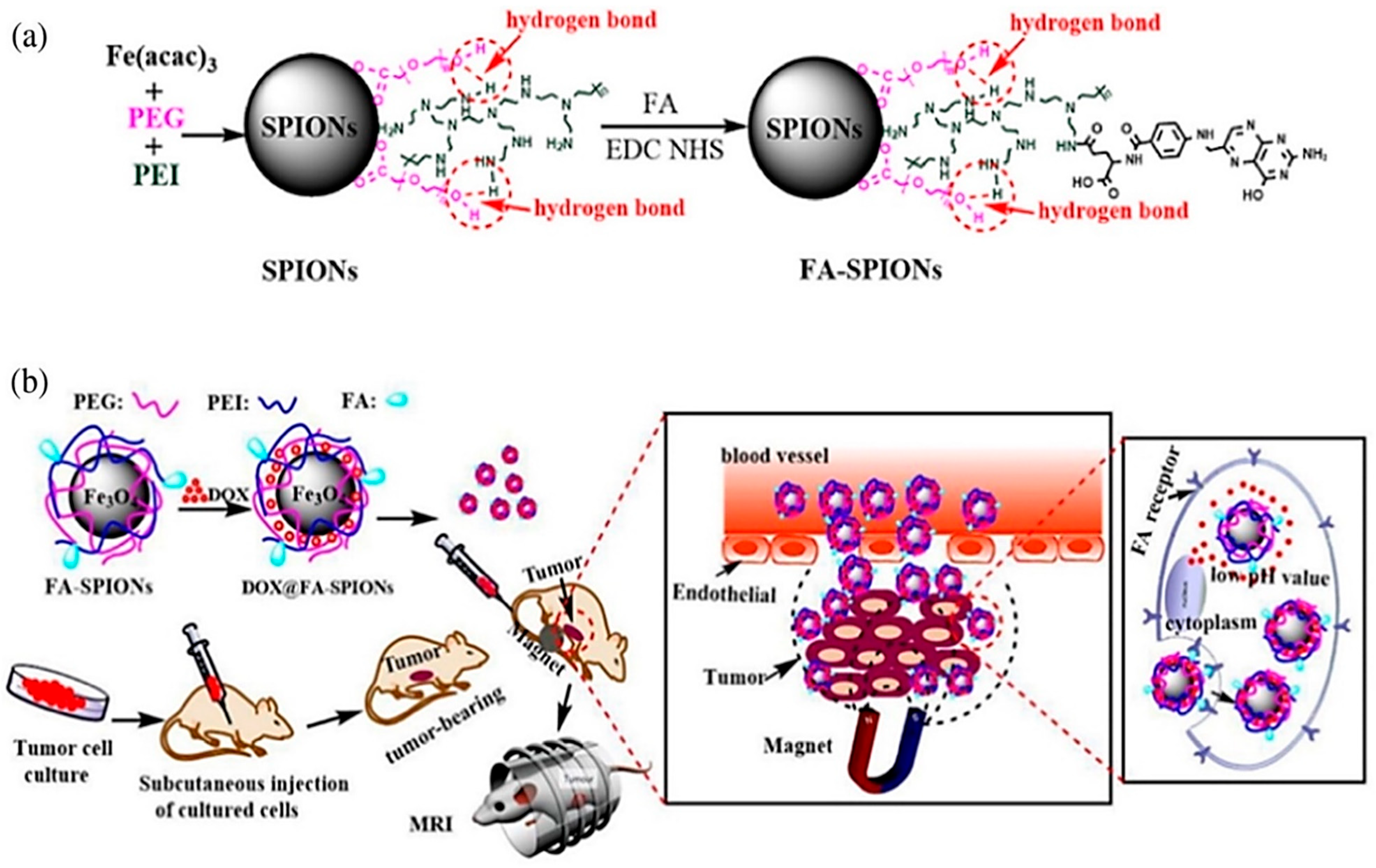 Jnt 06 00024 g003 Jnt 06 00024 g003