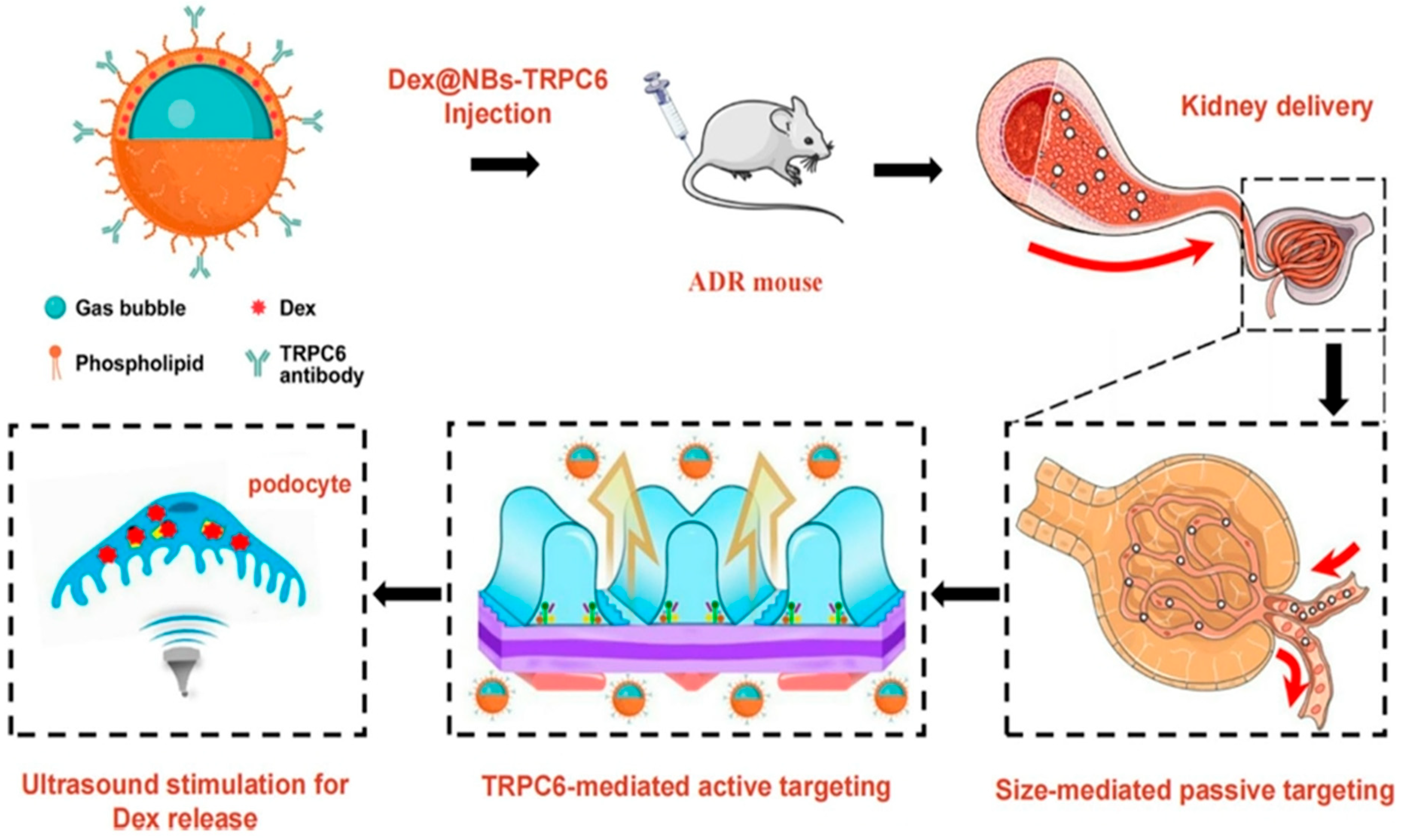 Jnt 06 00024 g004 Jnt 06 00024 g004