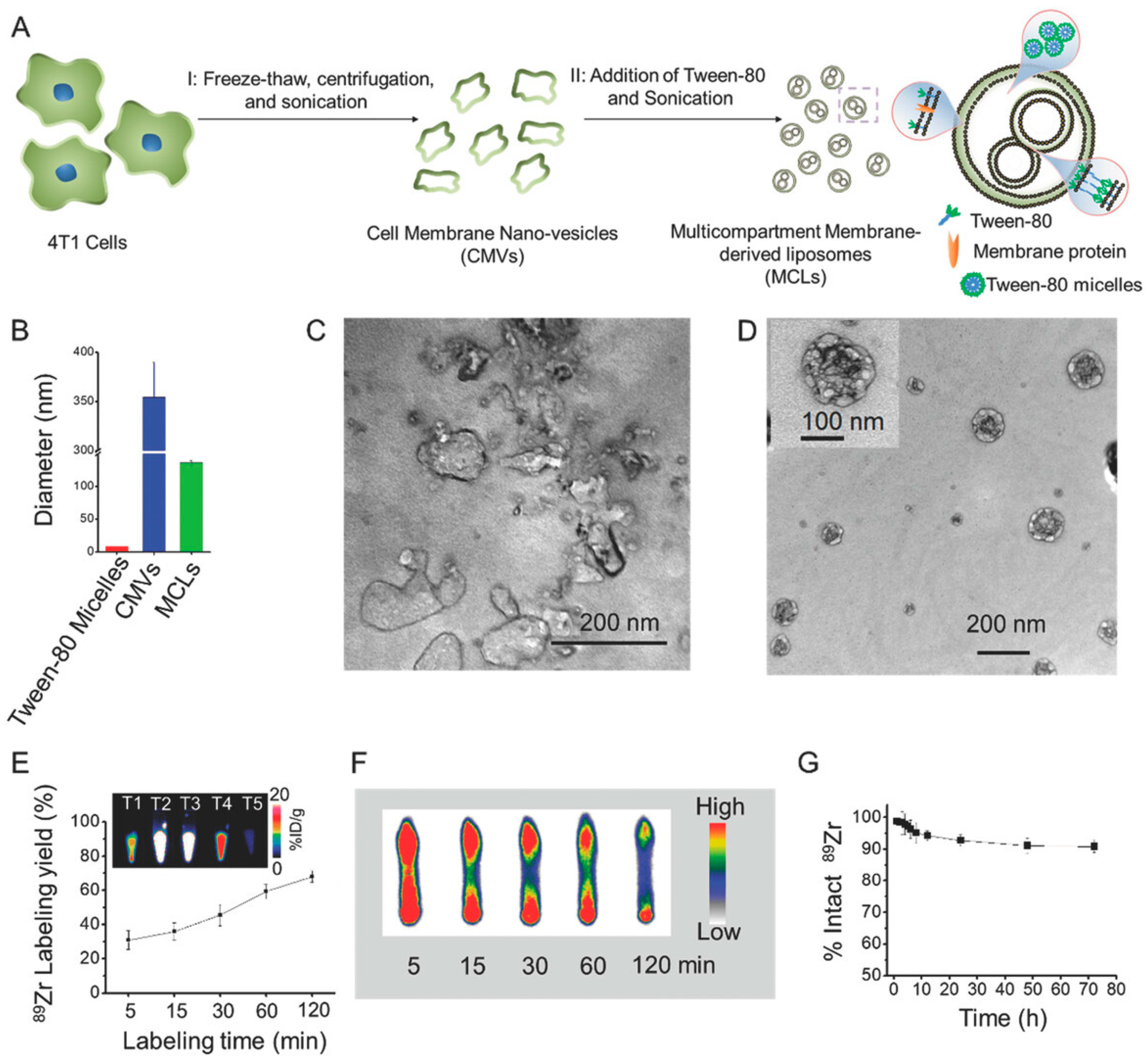 Jnt 06 00024 g005 Jnt 06 00024 g005