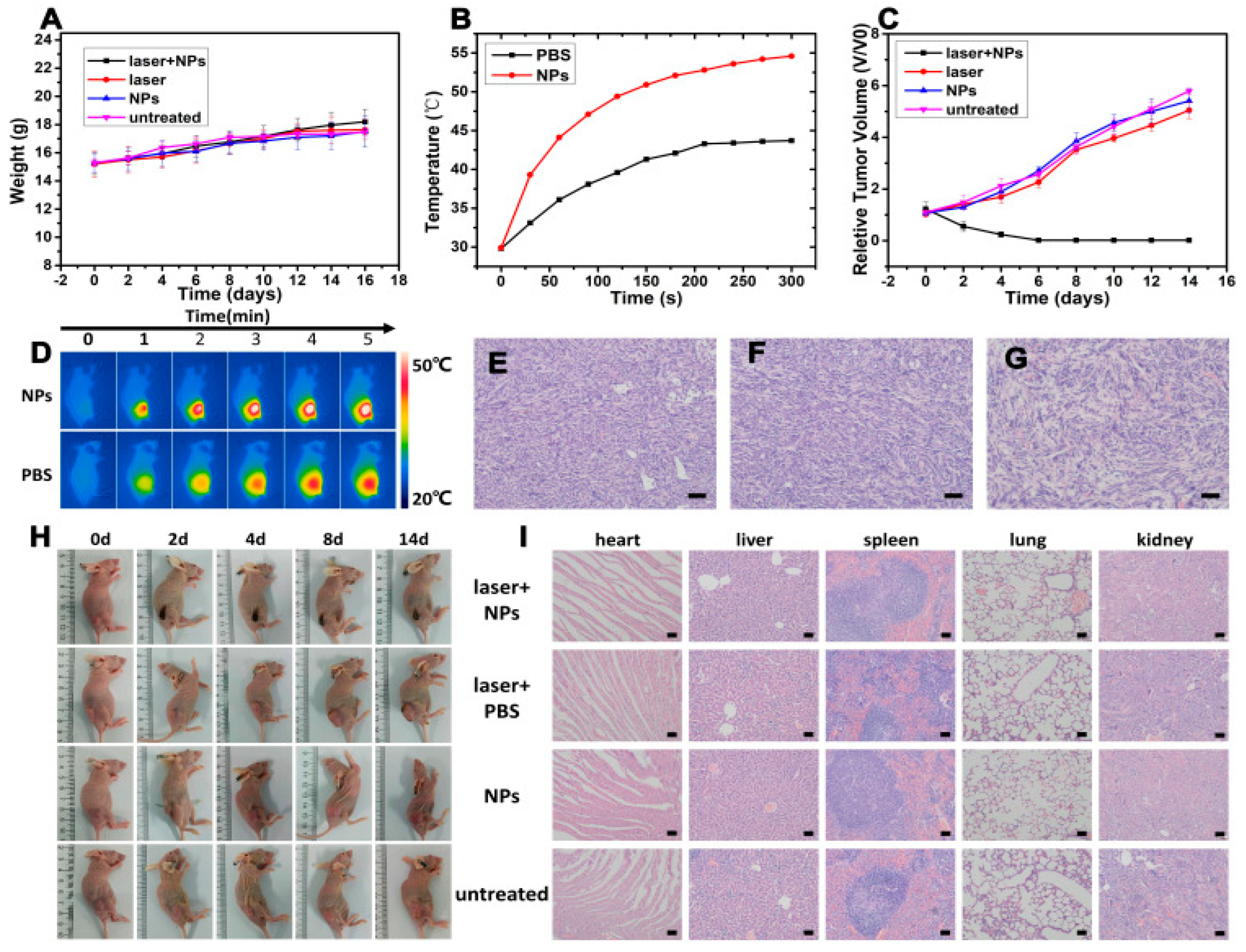 Jnt 06 00024 g006 Jnt 06 00024 g006