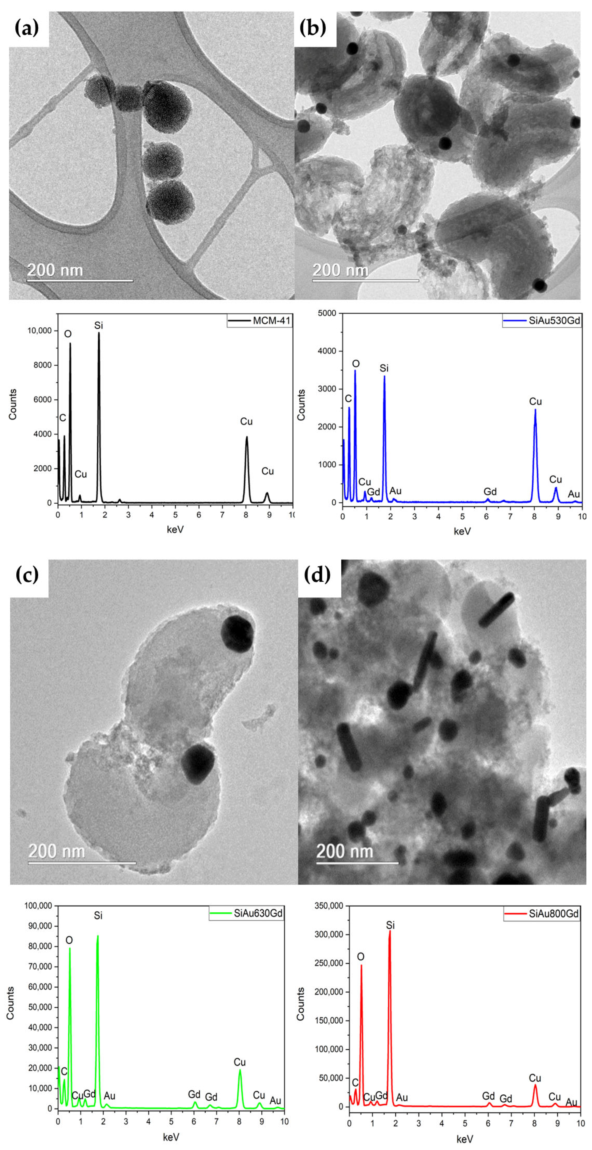 Jnt 06 00026 g010 Jnt 06 00026 g010