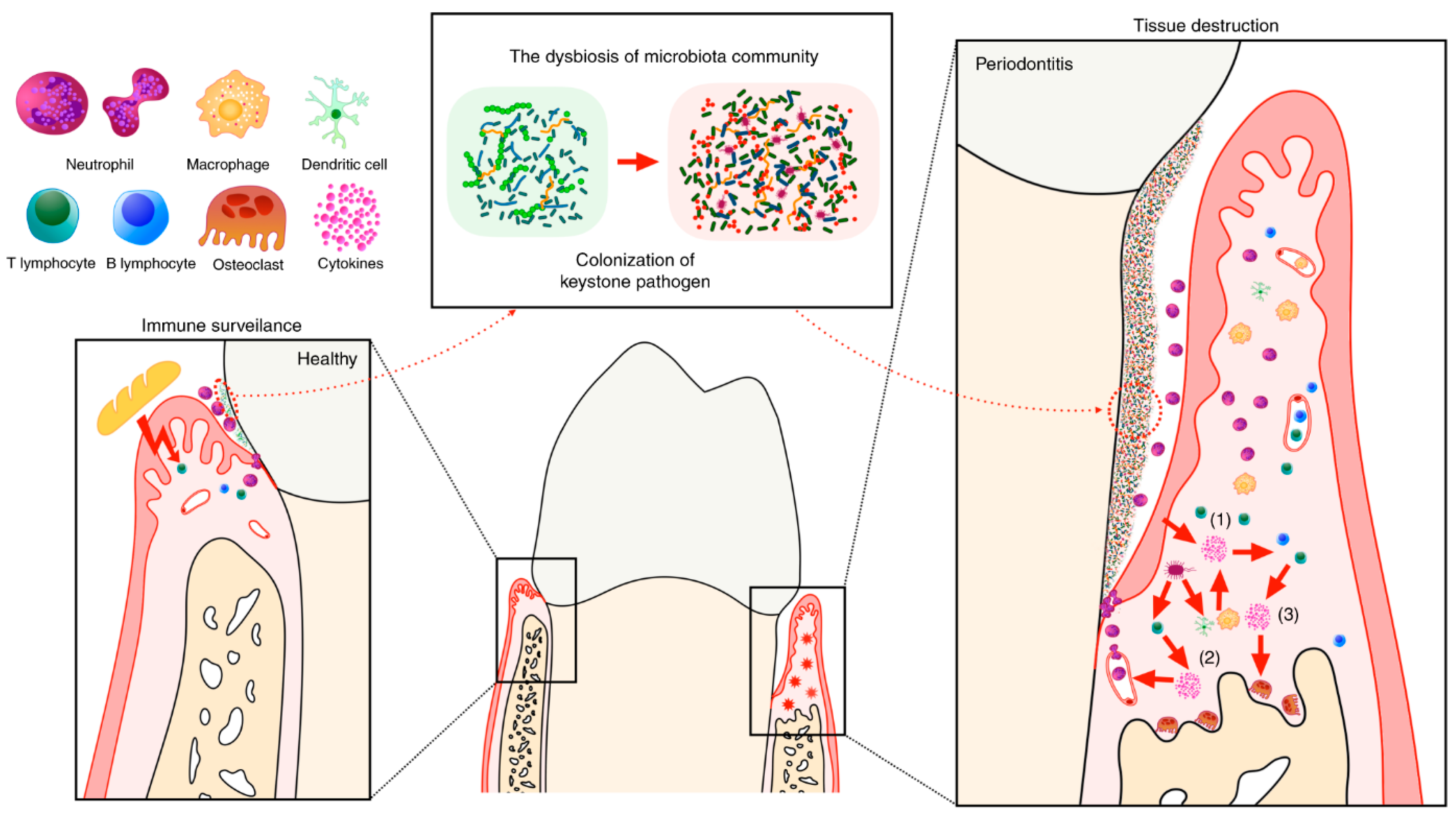Jnt 06 00031 g001 Jnt 06 00031 g001