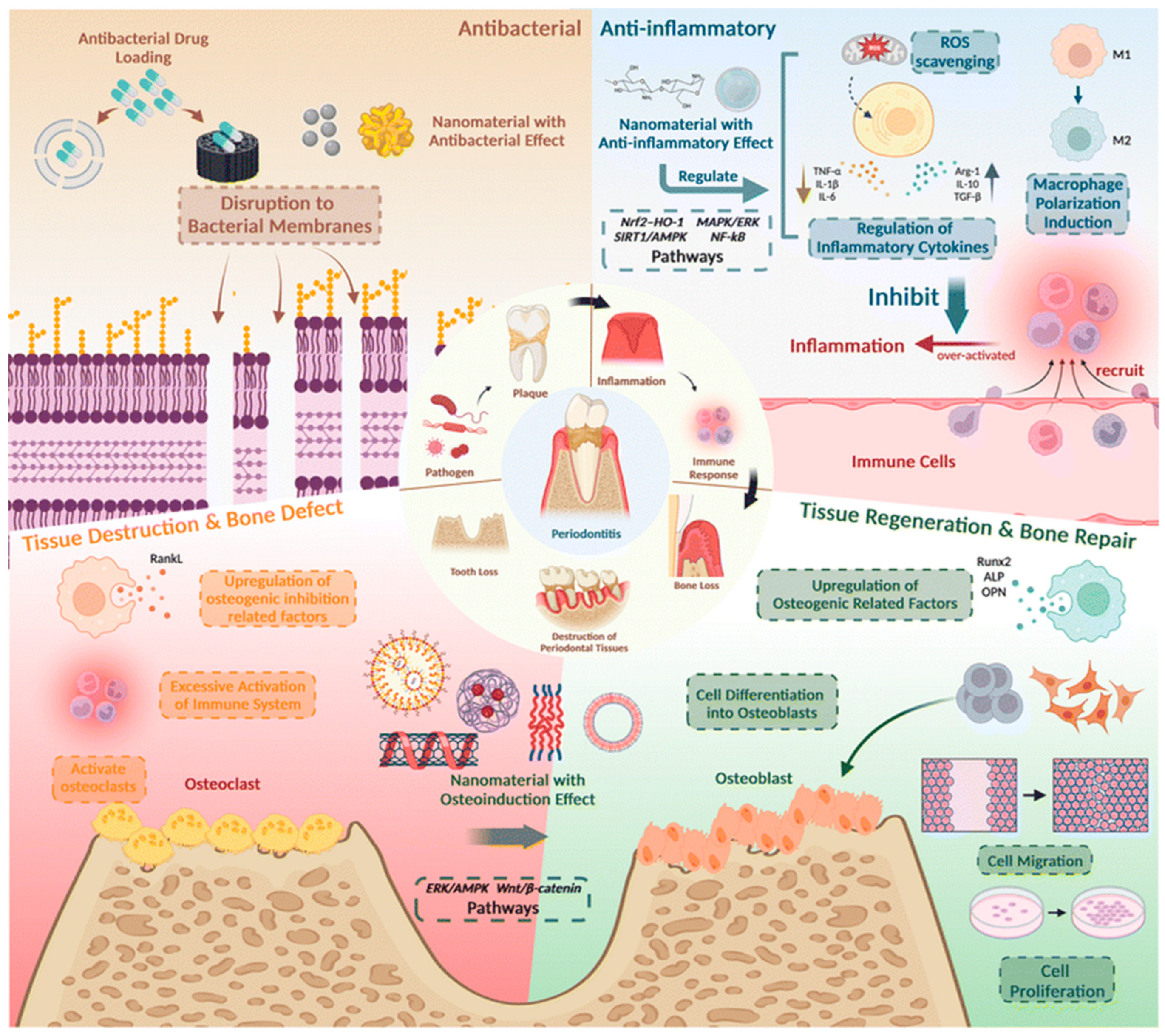 Jnt 06 00031 g002 Jnt 06 00031 g002