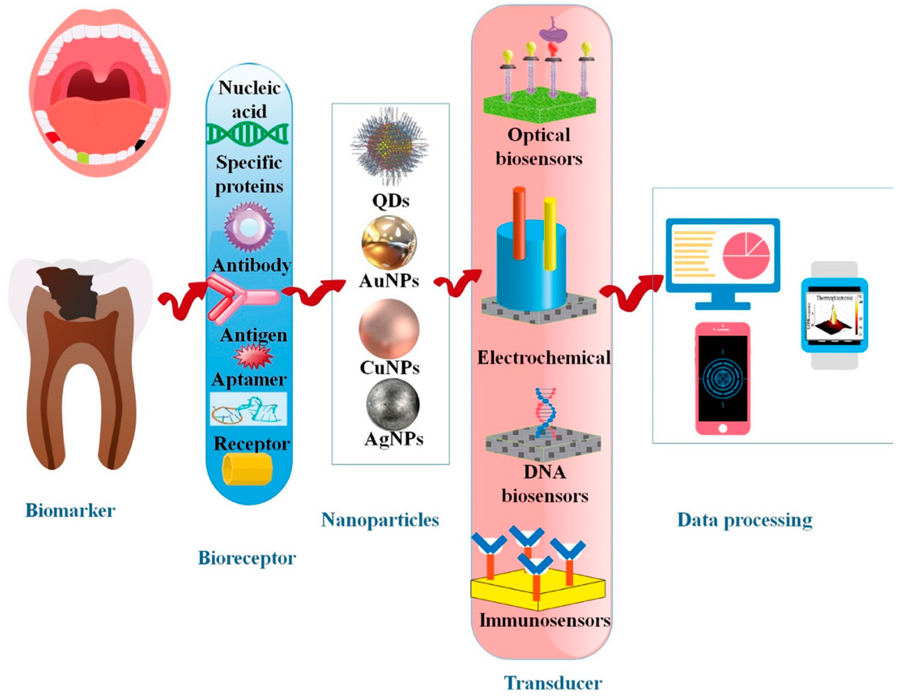 Jnt 06 00031 g004 Jnt 06 00031 g004