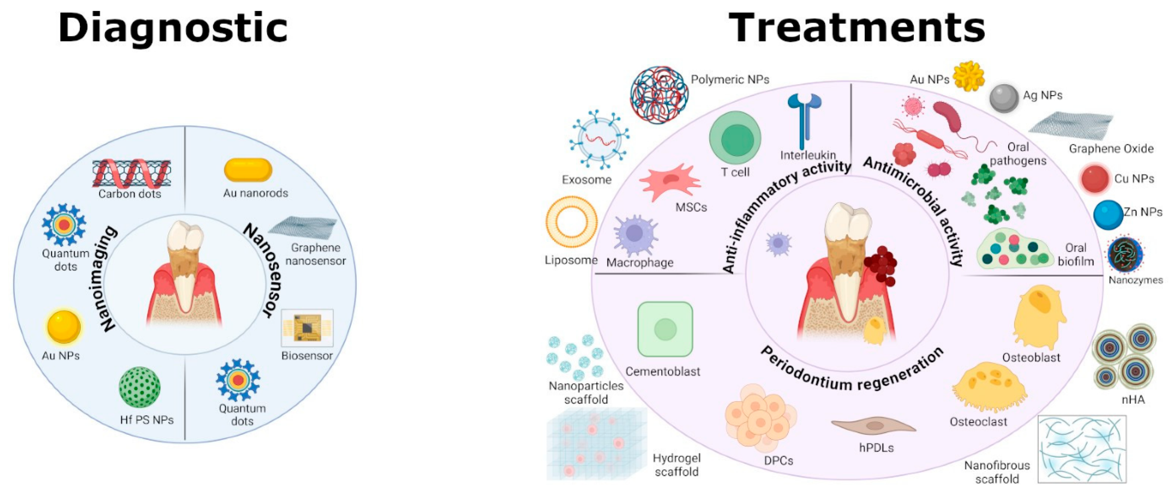 Jnt 06 00031 g005 Jnt 06 00031 g005