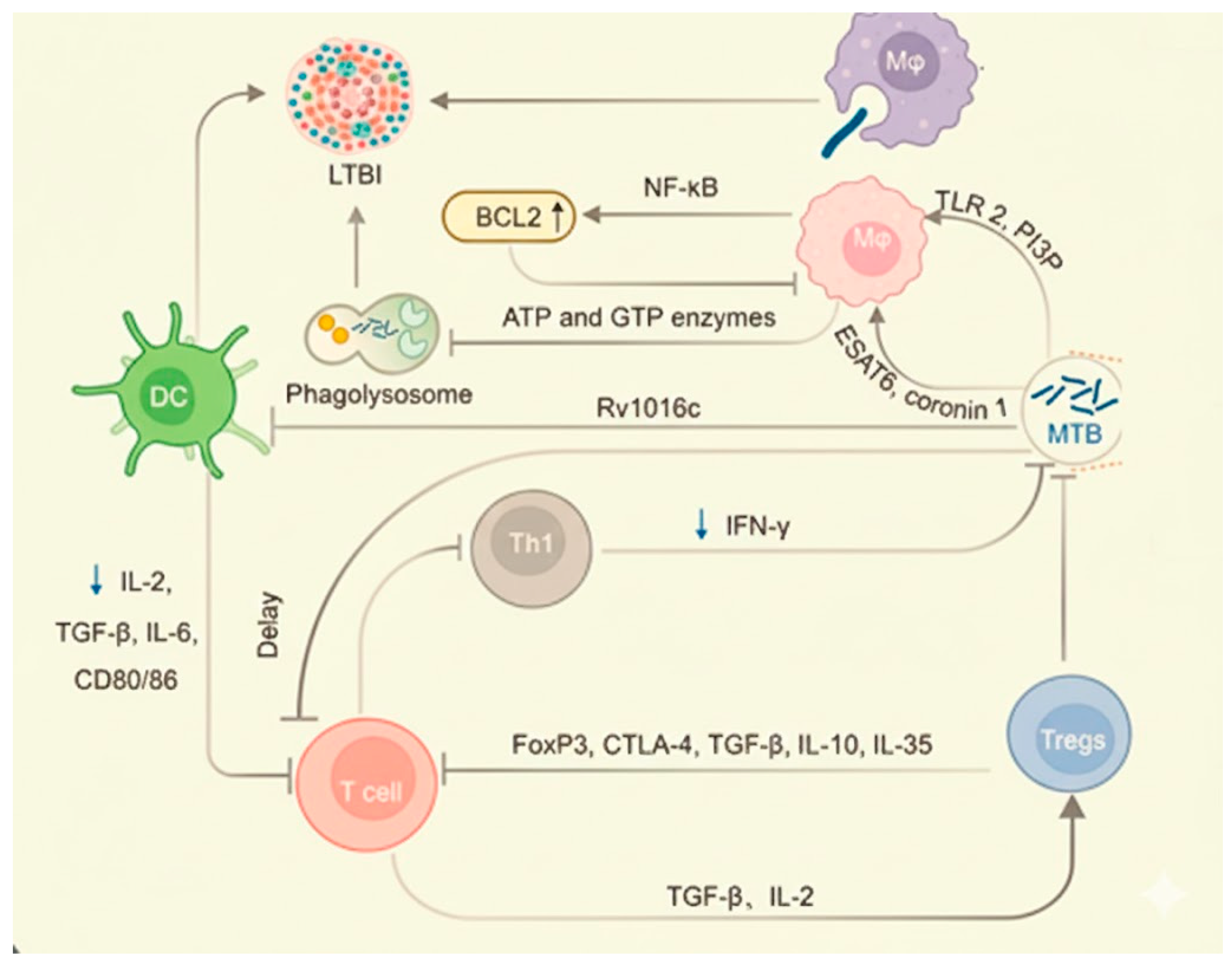 Jnt 06 00033 g007 Jnt 06 00033 g007