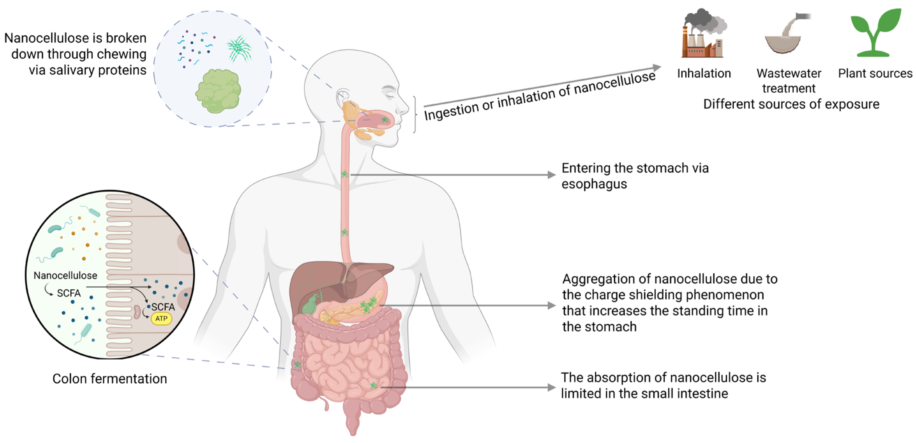 Jnt 06 00034 g003 Jnt 06 00034 g003