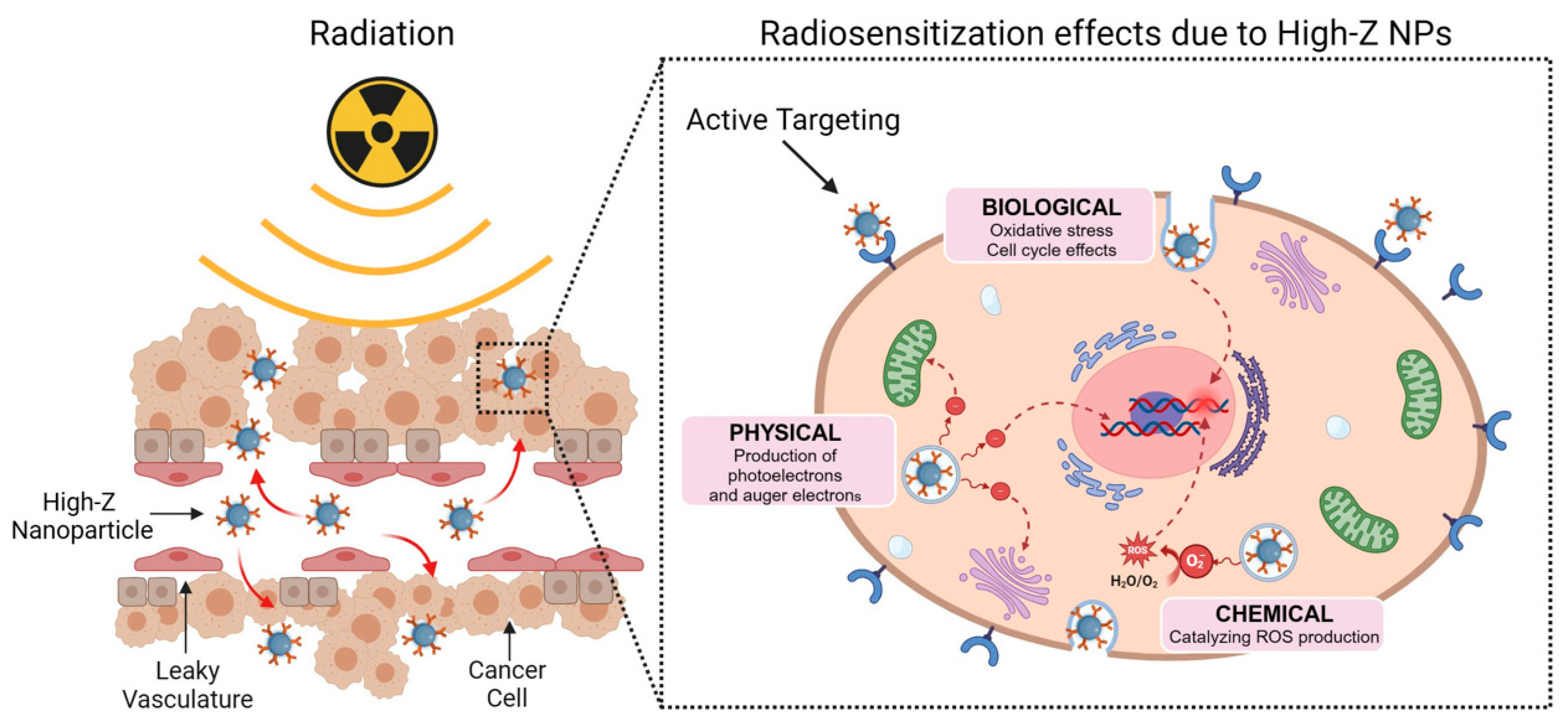 Jnt 06 00035 g002 Jnt 06 00035 g002