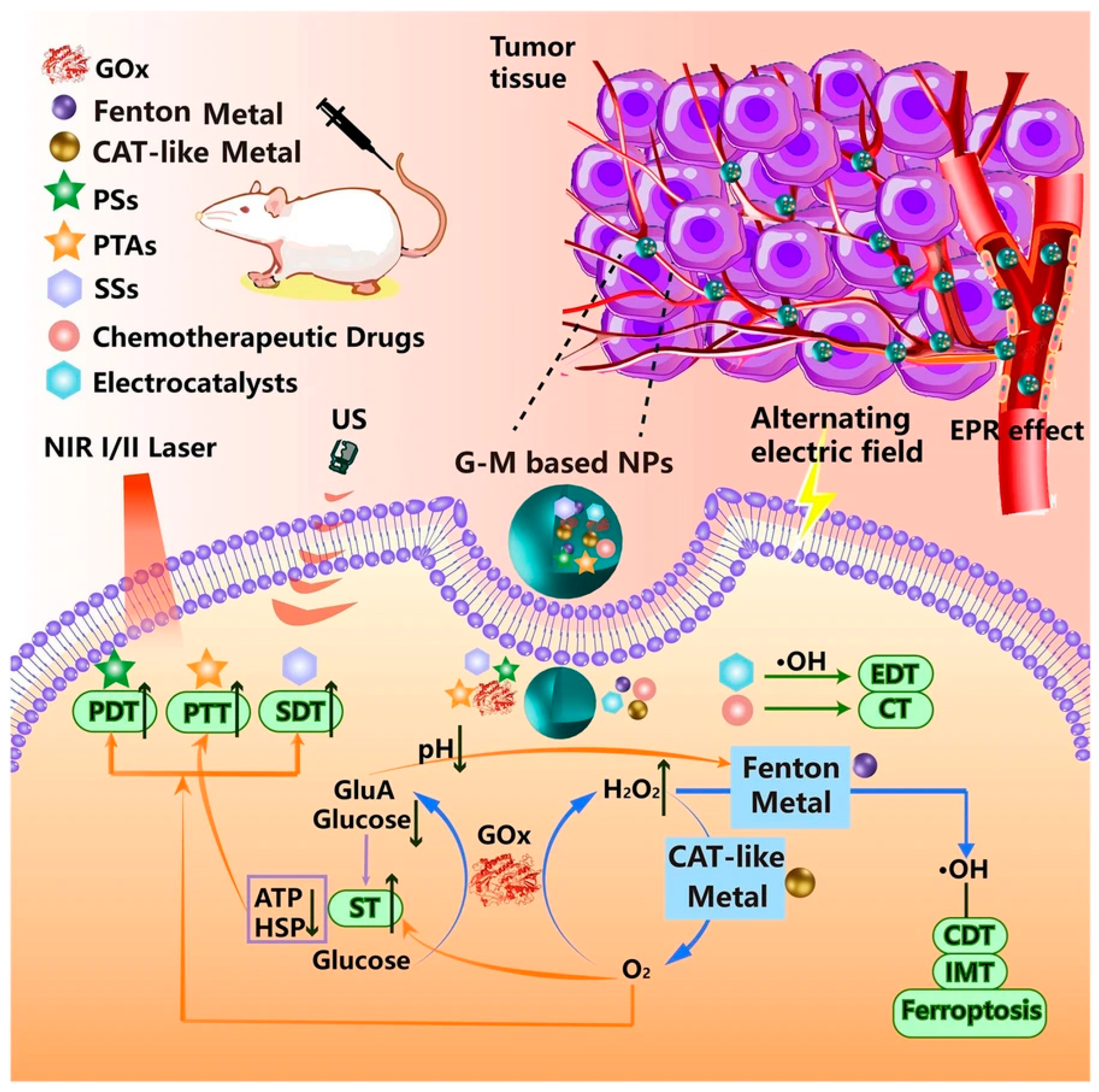 Jnt 06 00035 g004 Jnt 06 00035 g004