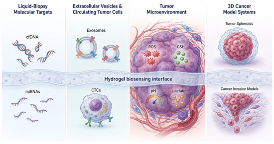 Programmable Hydrogel Biosensors for Cancer Biomarkers