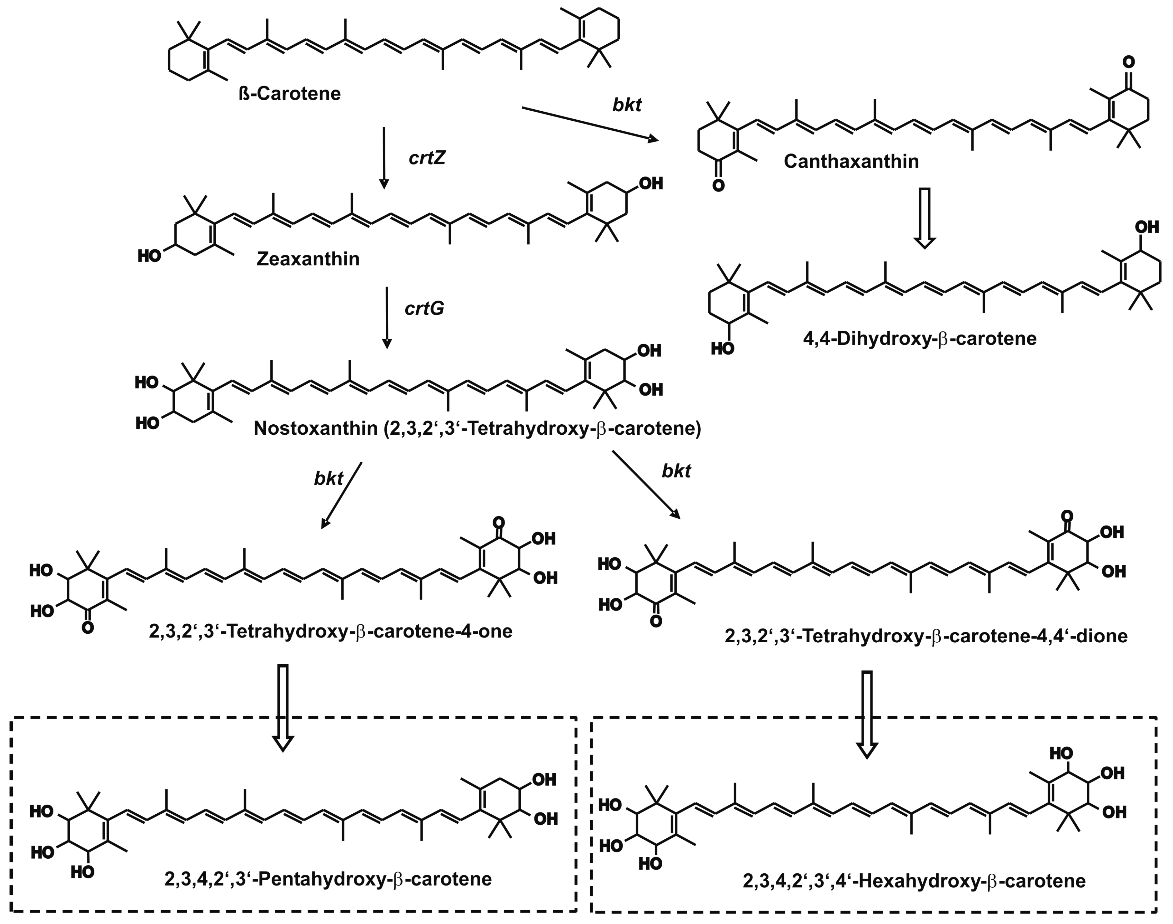 Jof 03 00009 g001 550