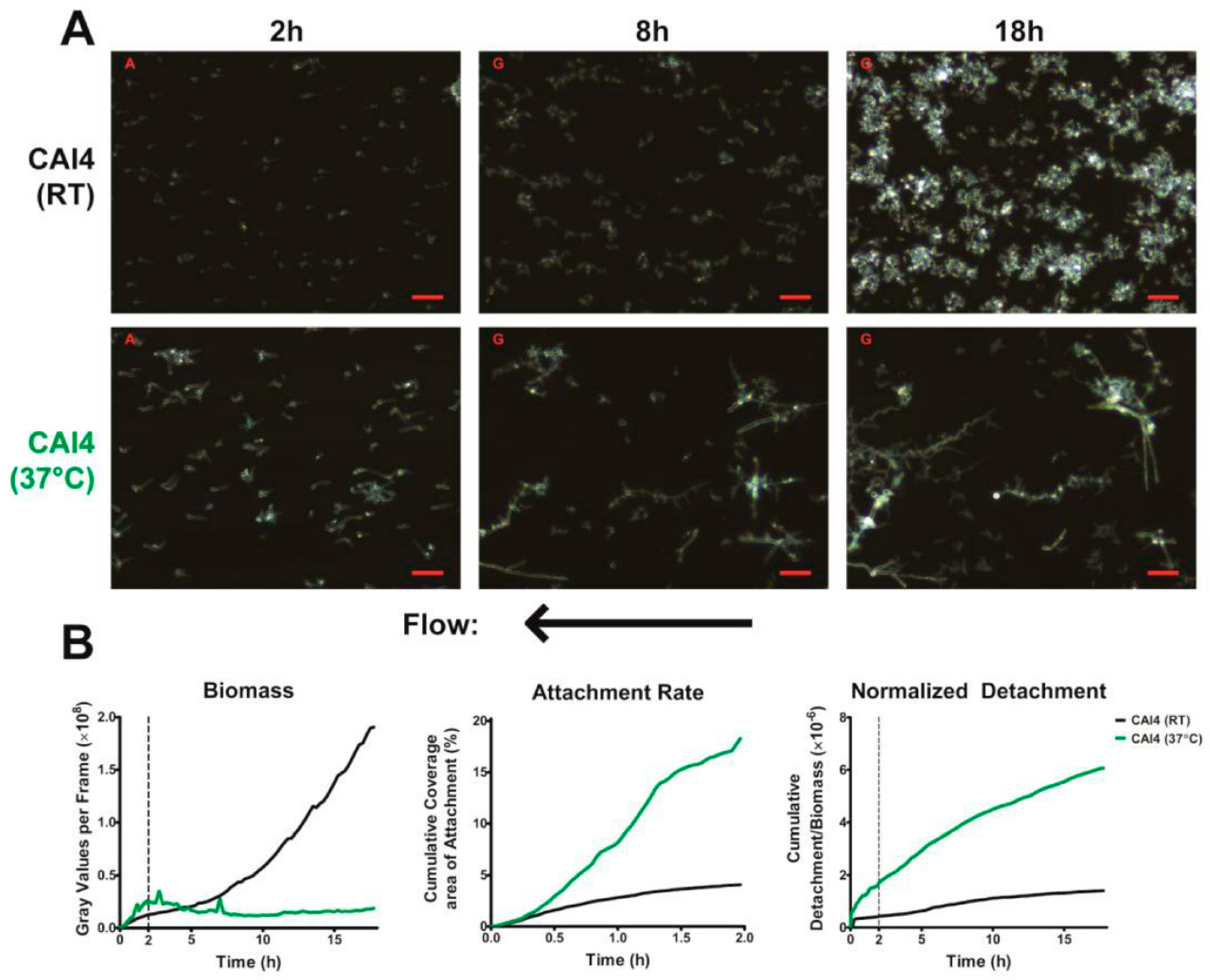 Jof 03 00013 g002 550