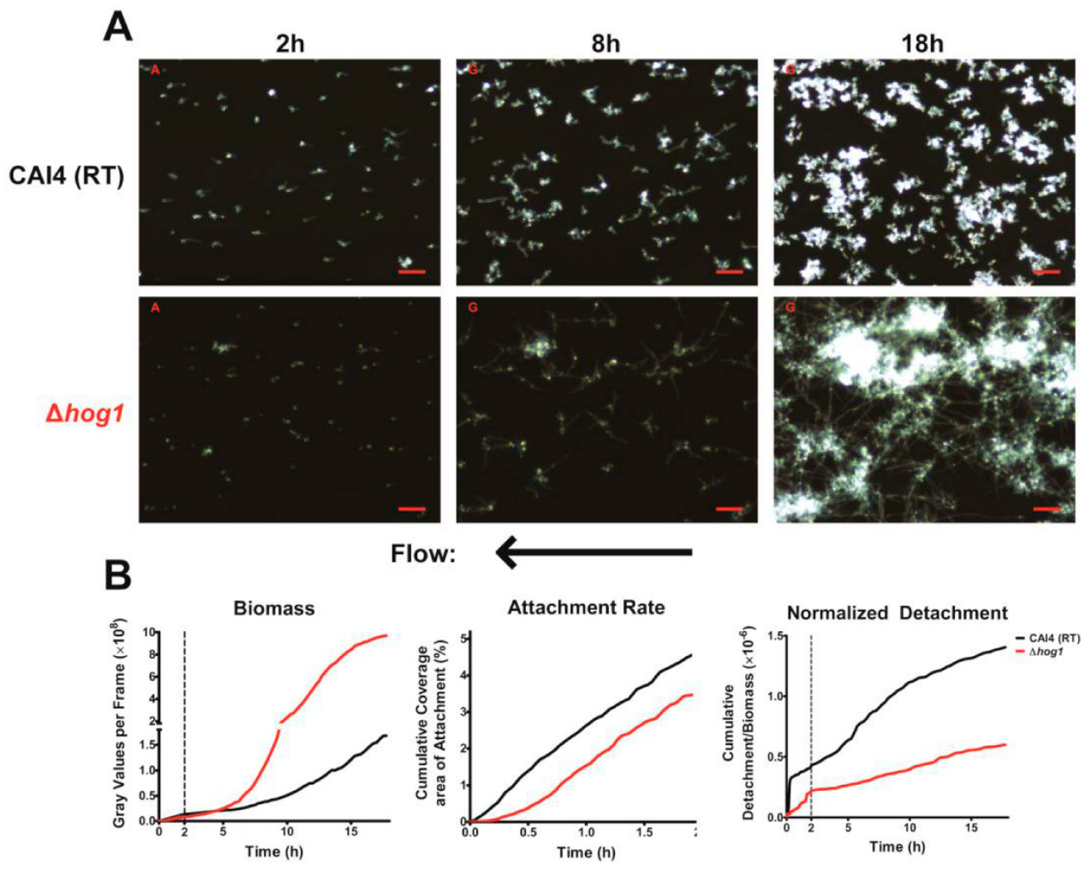 Jof 03 00013 g004 550
