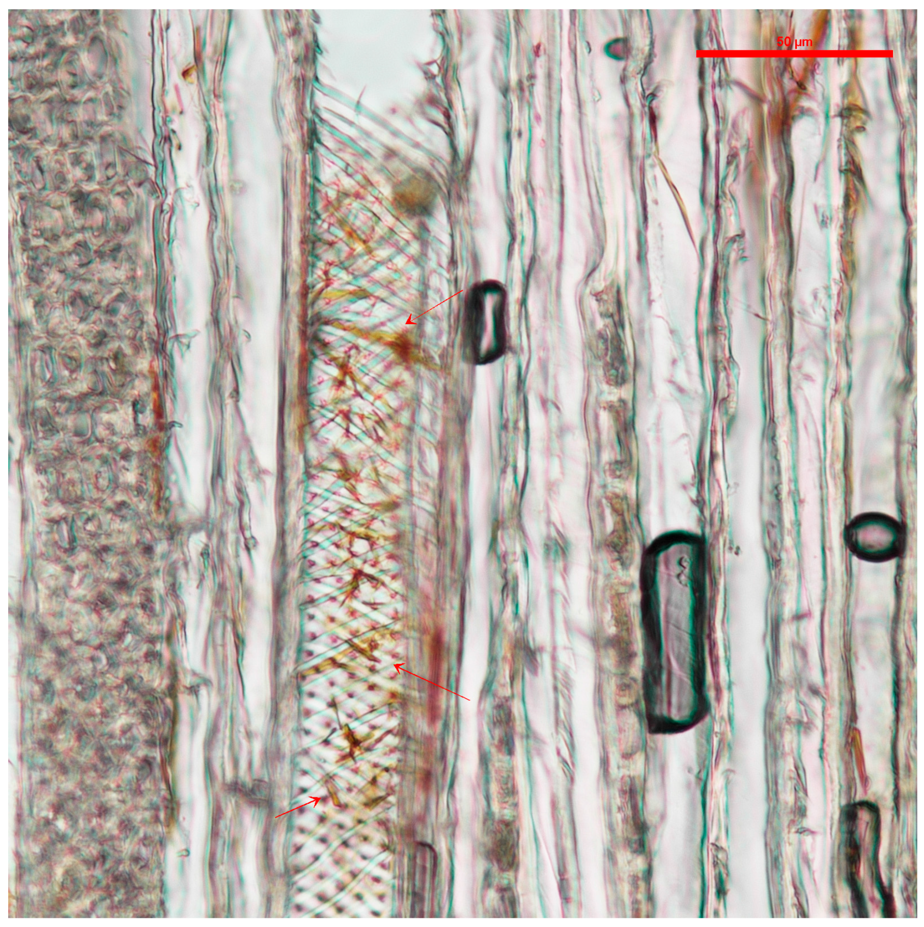 Jof 03 00015 g001 550