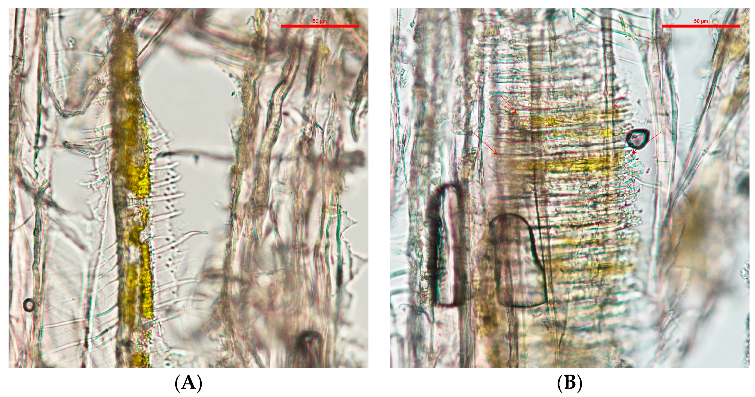 Jof 03 00015 g003 550