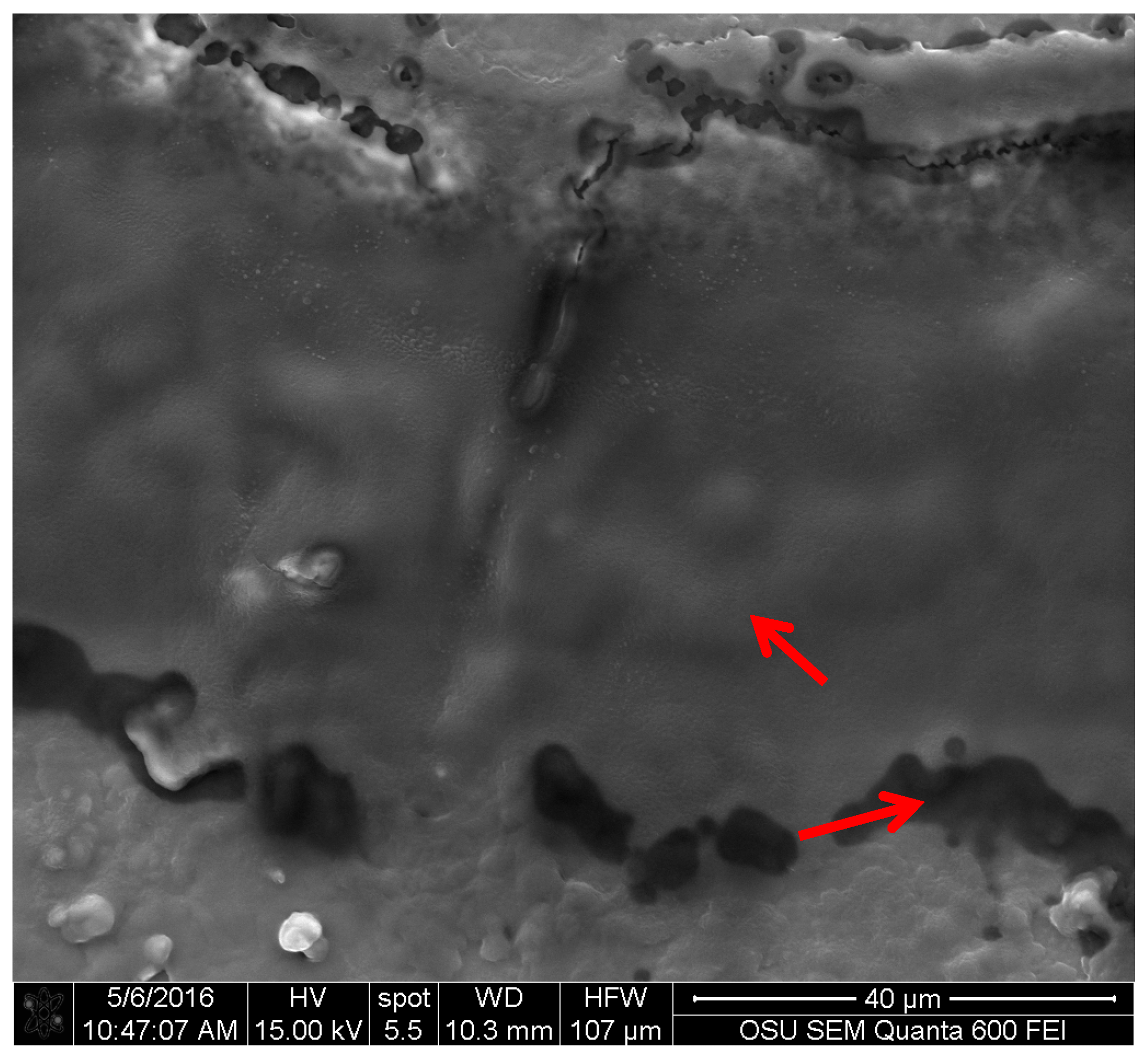 Jof 03 00015 g005 550