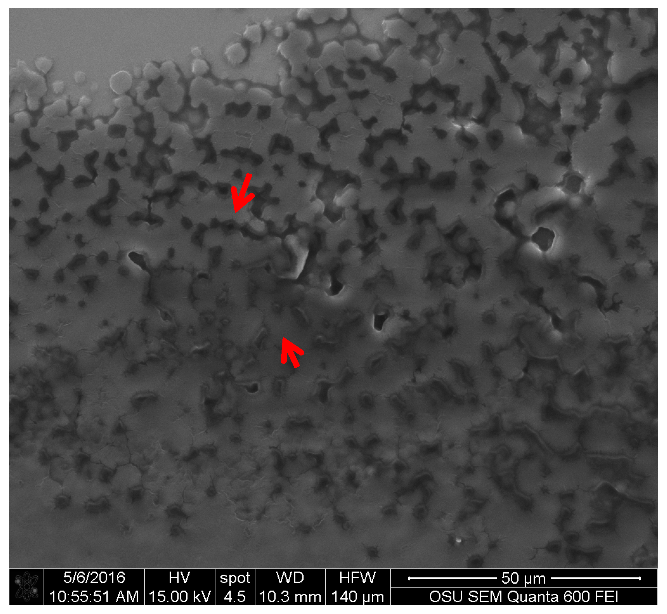 Jof 03 00015 g006 550