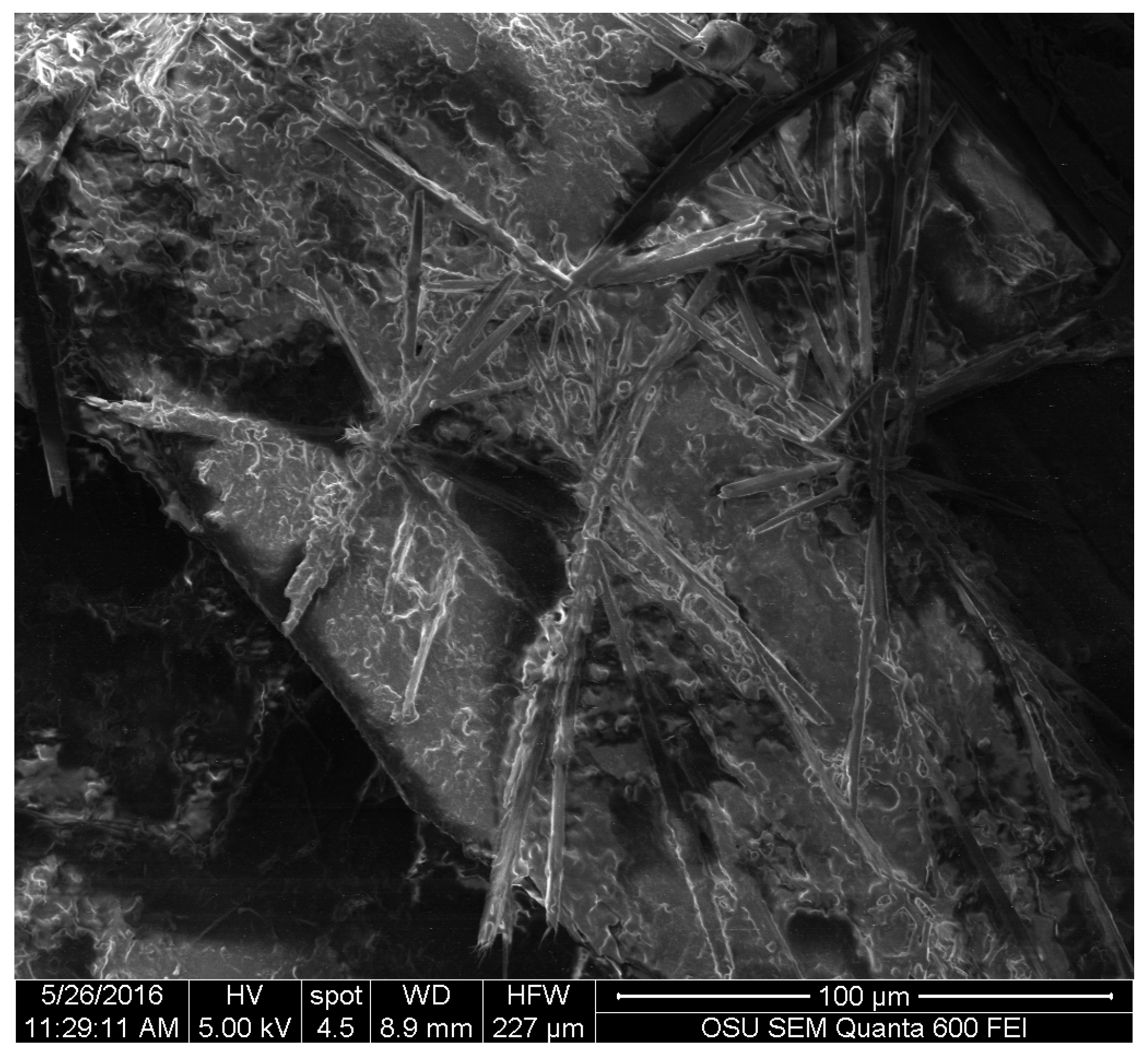 Jof 03 00015 g007 550