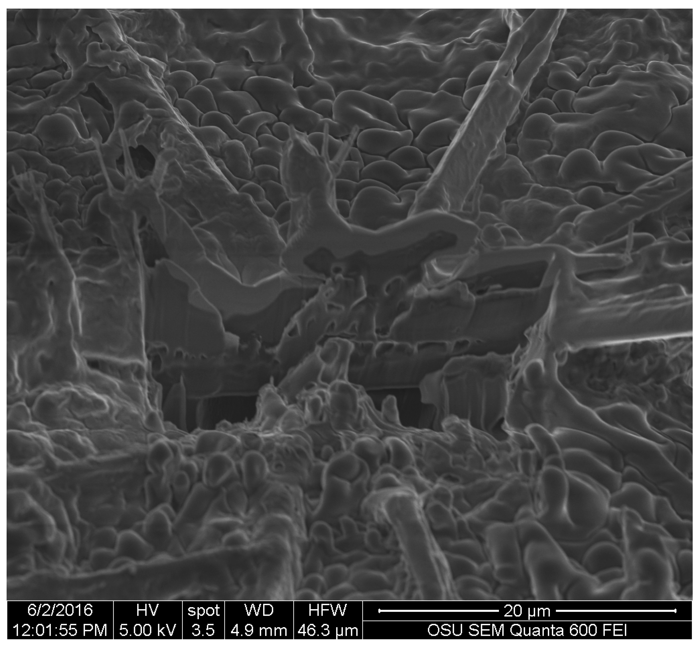 Jof 03 00015 g011 550