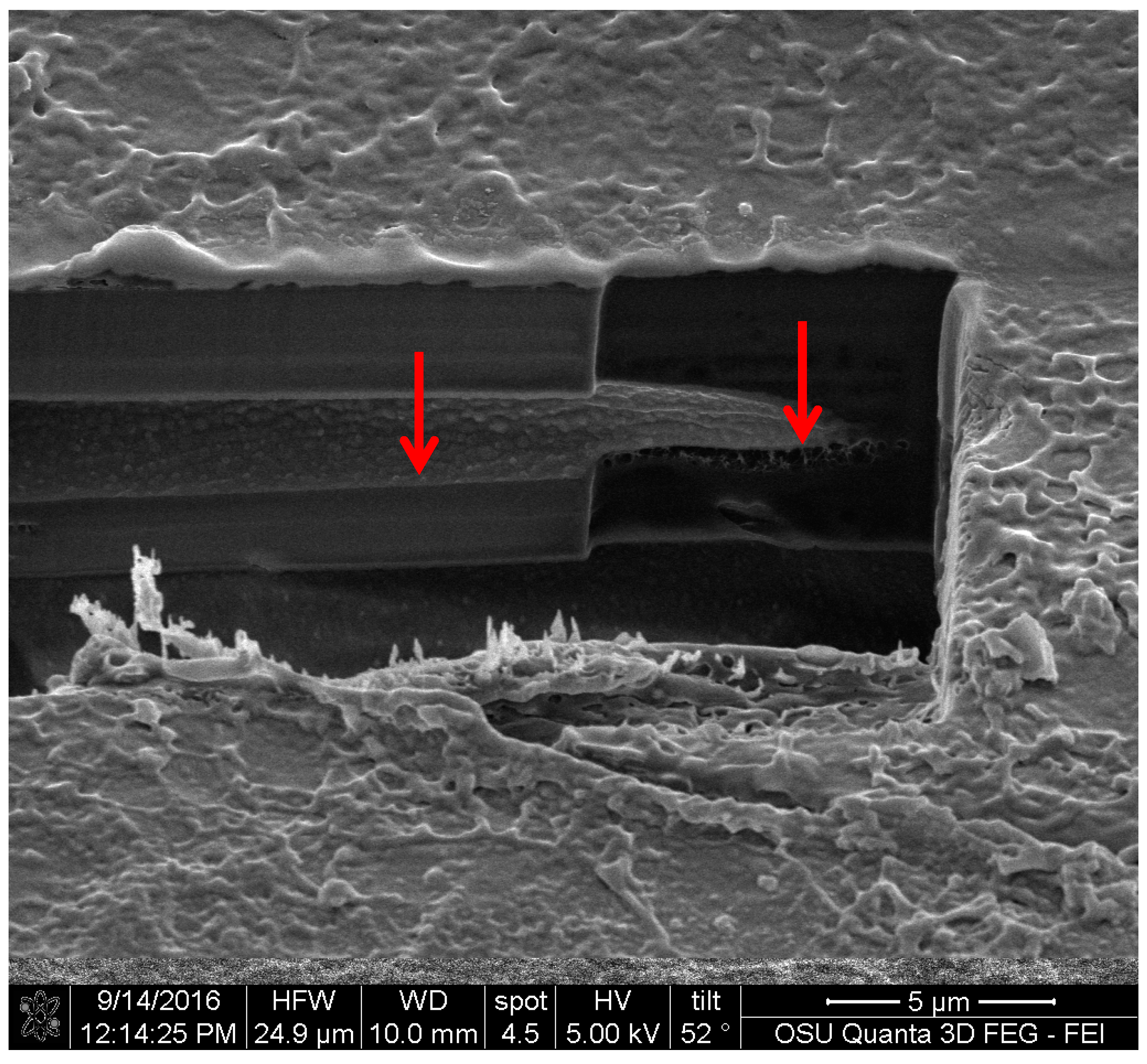 Jof 03 00015 g013 550