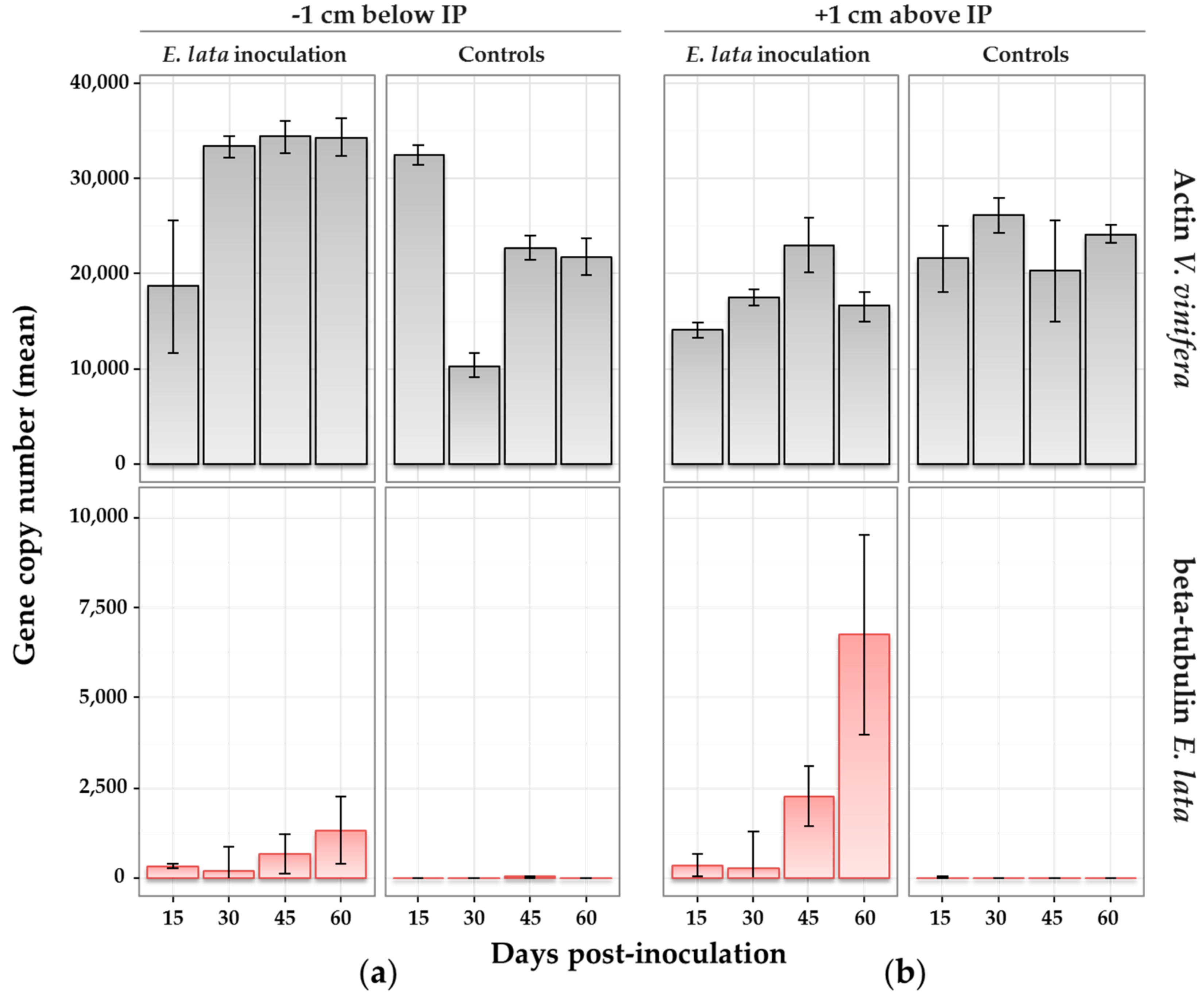Jof 03 00021 g005 550