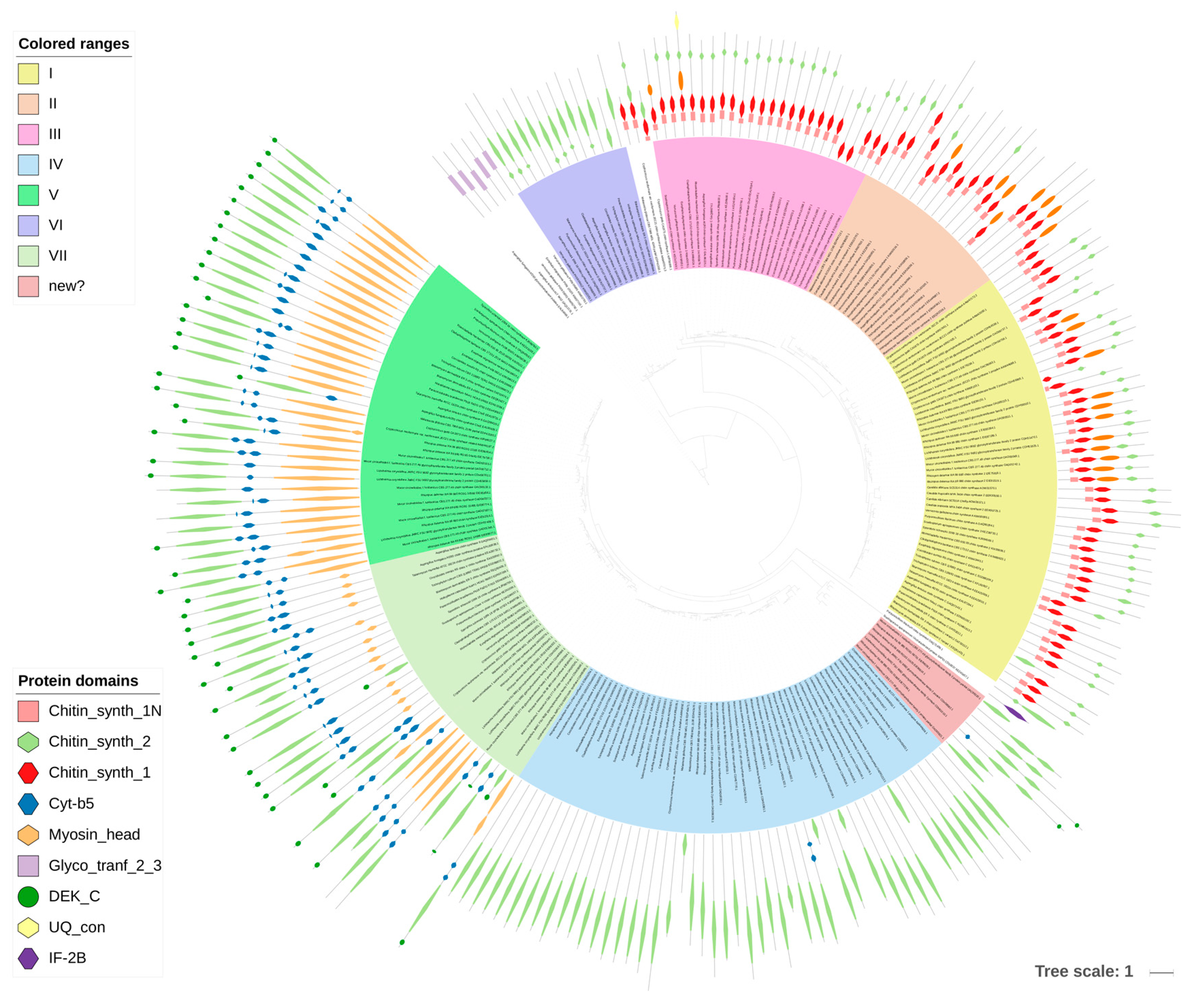 Jof Free Full Text Diversity Of Cell Wall Related Proteins In Human Pathogenic Fungi Html Jof Free Full Text Diversity Of Cell Wall Related Proteins In Human Pathogenic Fungi Html