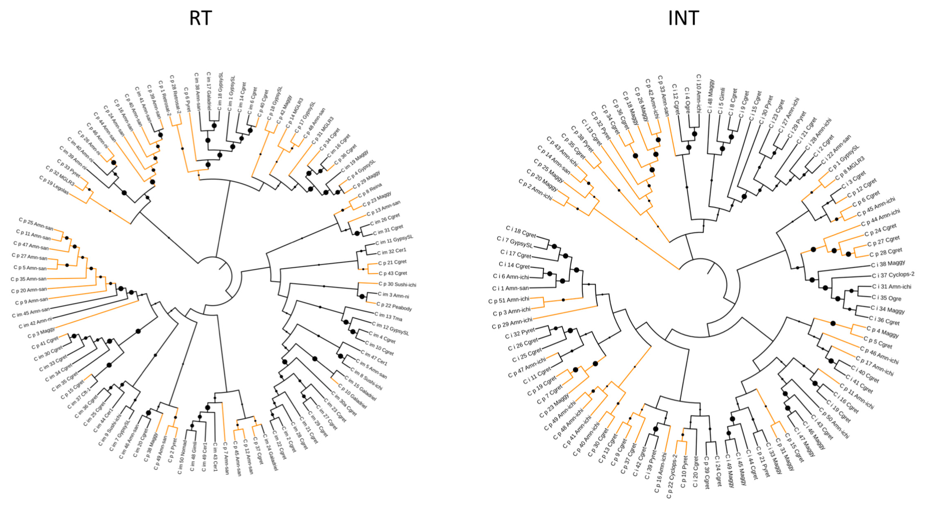 Jof 04 00013 g001 Jof 04 00013 g001