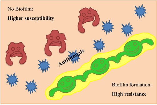 Jof Free Full Text Biofilm Formation And Resistance To Fungicides