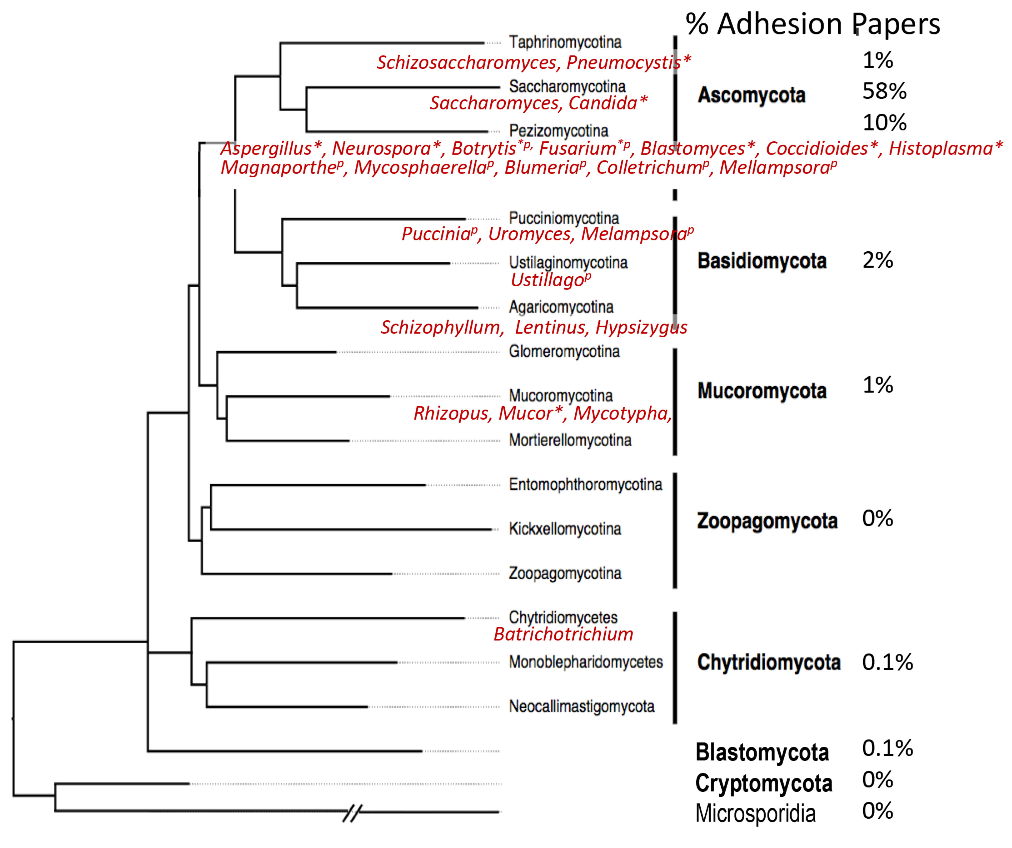 Jof 04 00059 g001 Jof 04 00059 g001