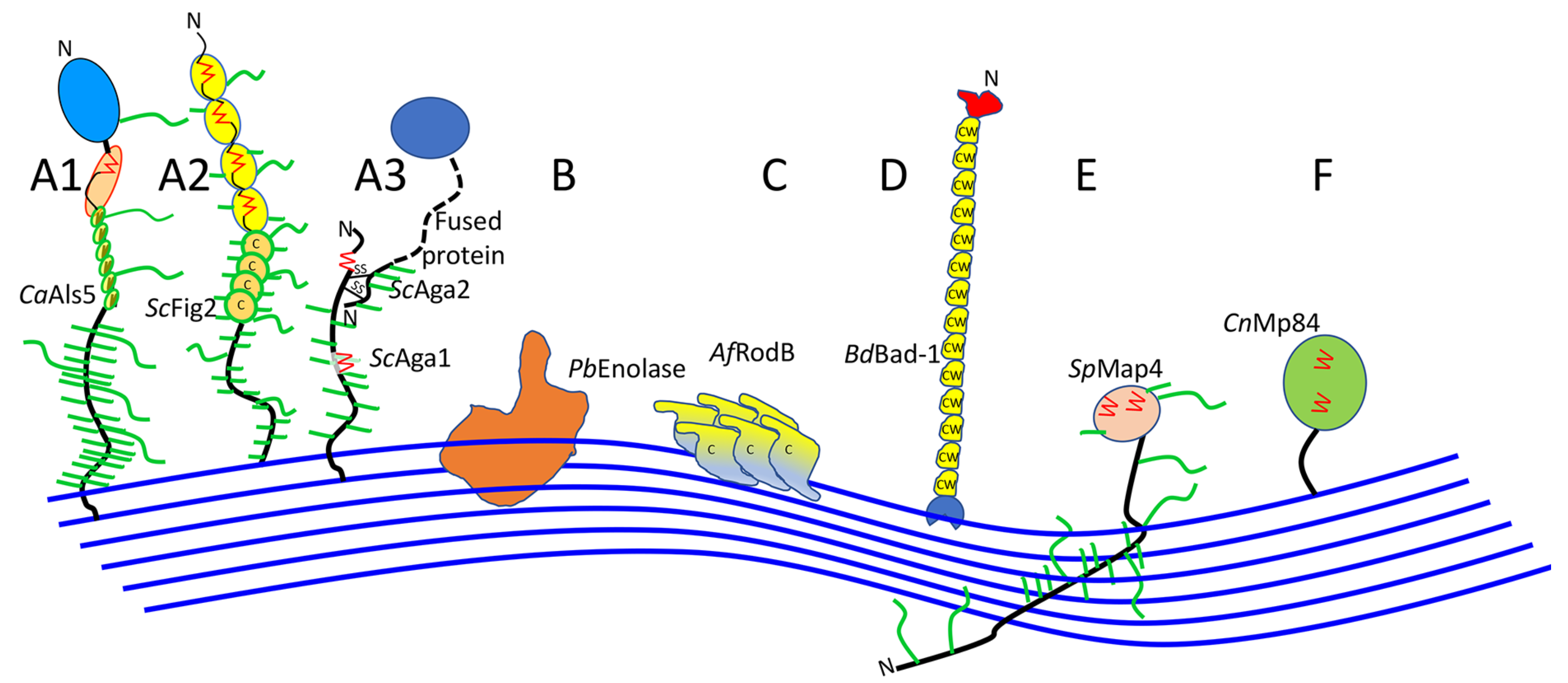 Jof 04 00059 g002 Jof 04 00059 g002