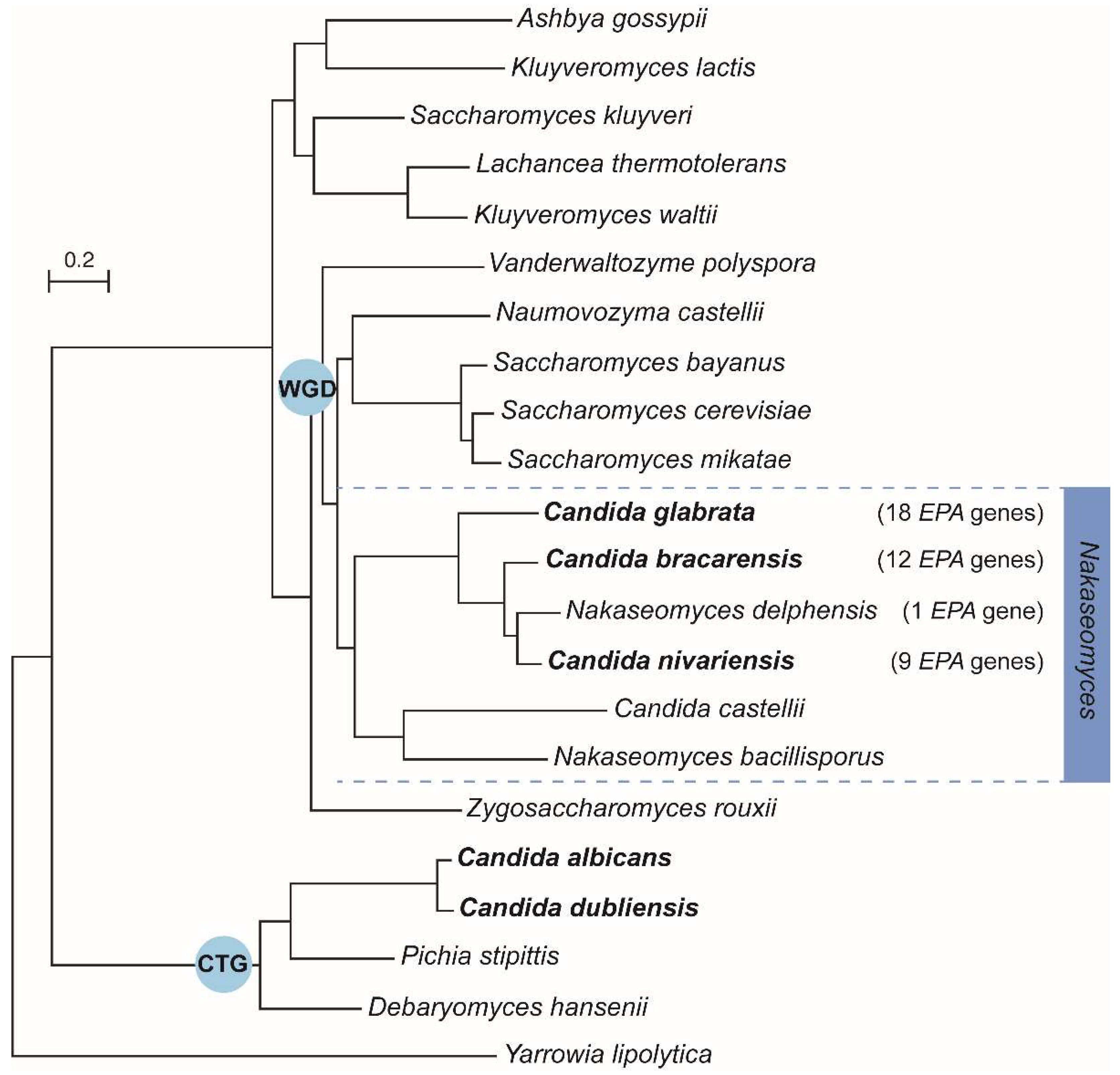 Jof 04 00060 g001 Jof 04 00060 g001