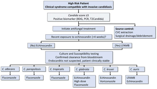 Treatment of Invasive Candidiasis A Narrative Review