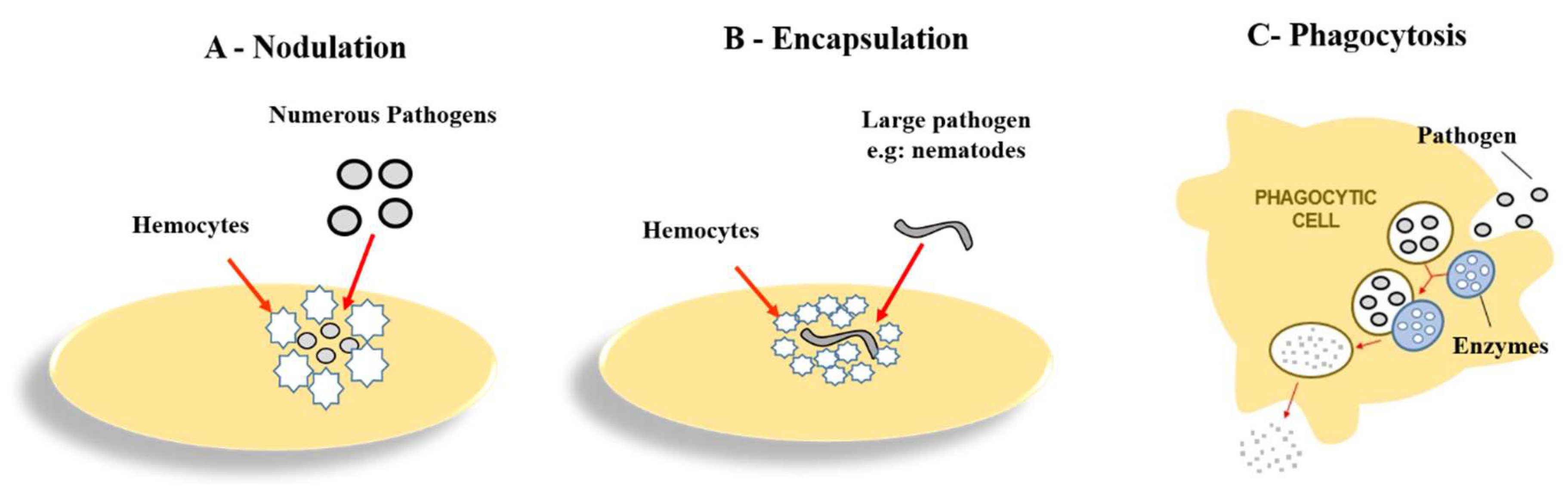 Jof 04 00128 g002 Jof 04 00128 g002