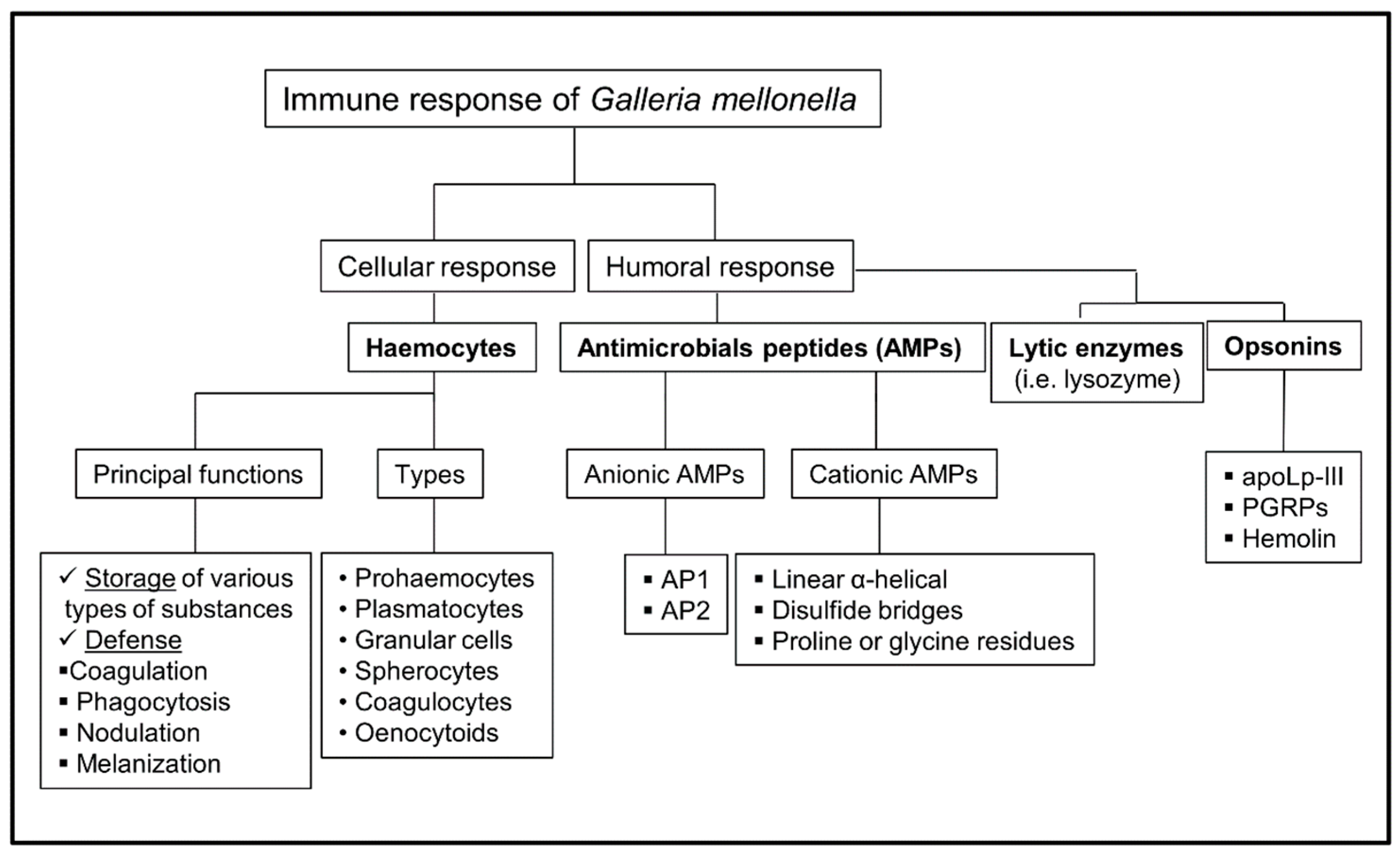 Jof 05 00003 g001 Jof 05 00003 g001